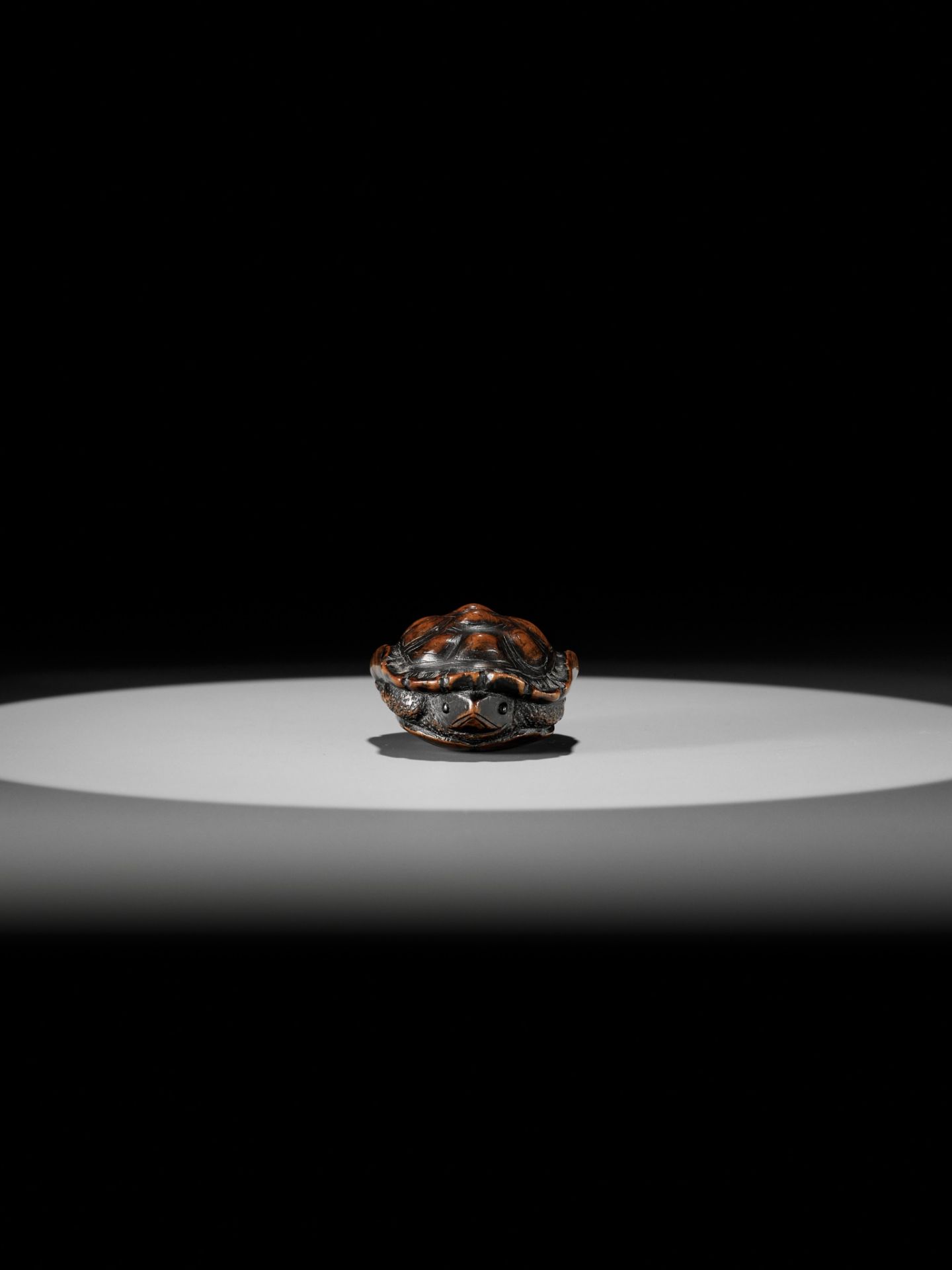 TOYOMASA: A SUPERB WOOD NETSUKE OF A TORTOISE - Image 7 of 18