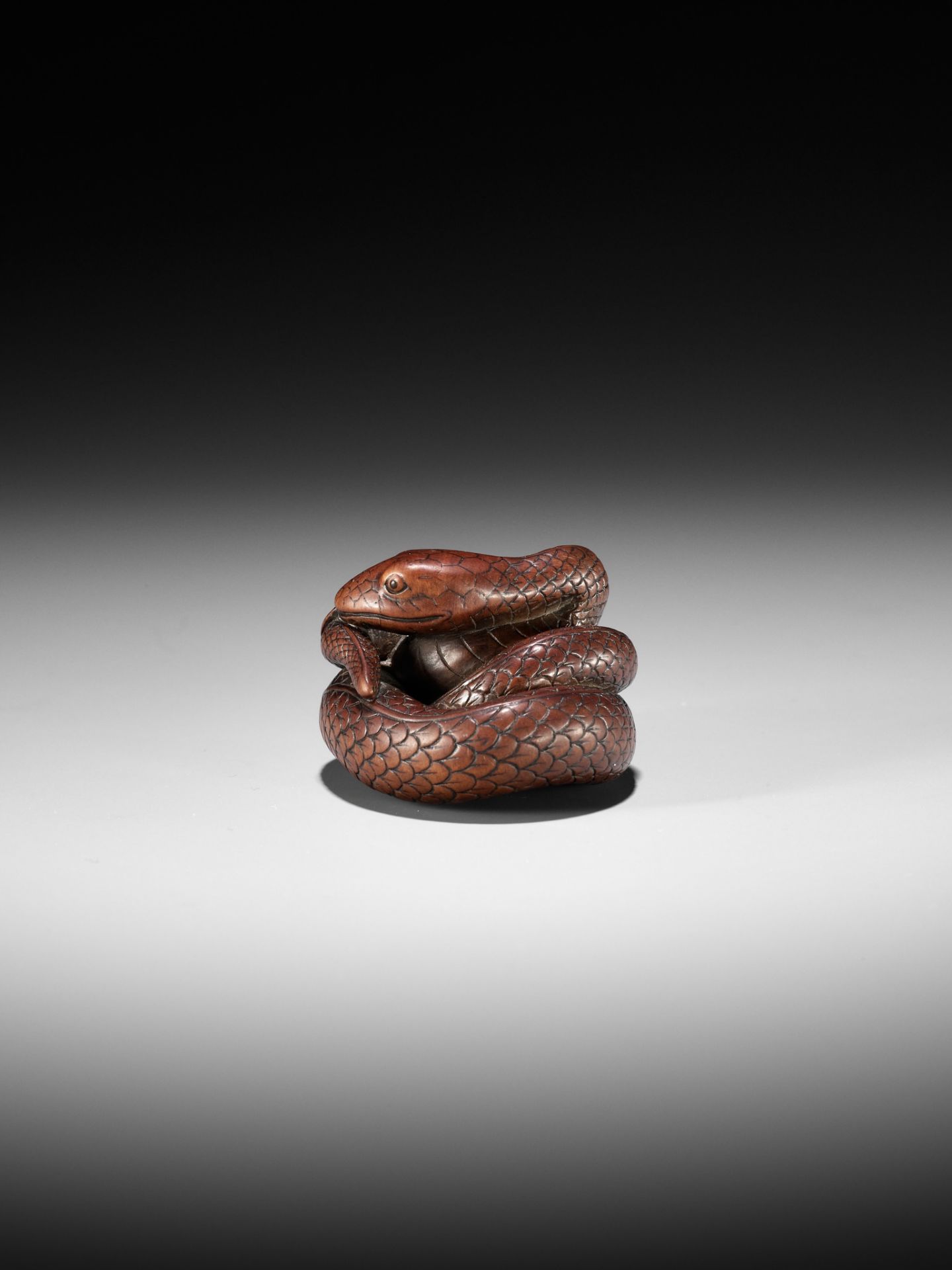 AN EXCEPTIONAL AND LARGE WOOD NETSUKE OF A SNAKE, ATTRIBUTED TO OKATOMO - Image 16 of 19