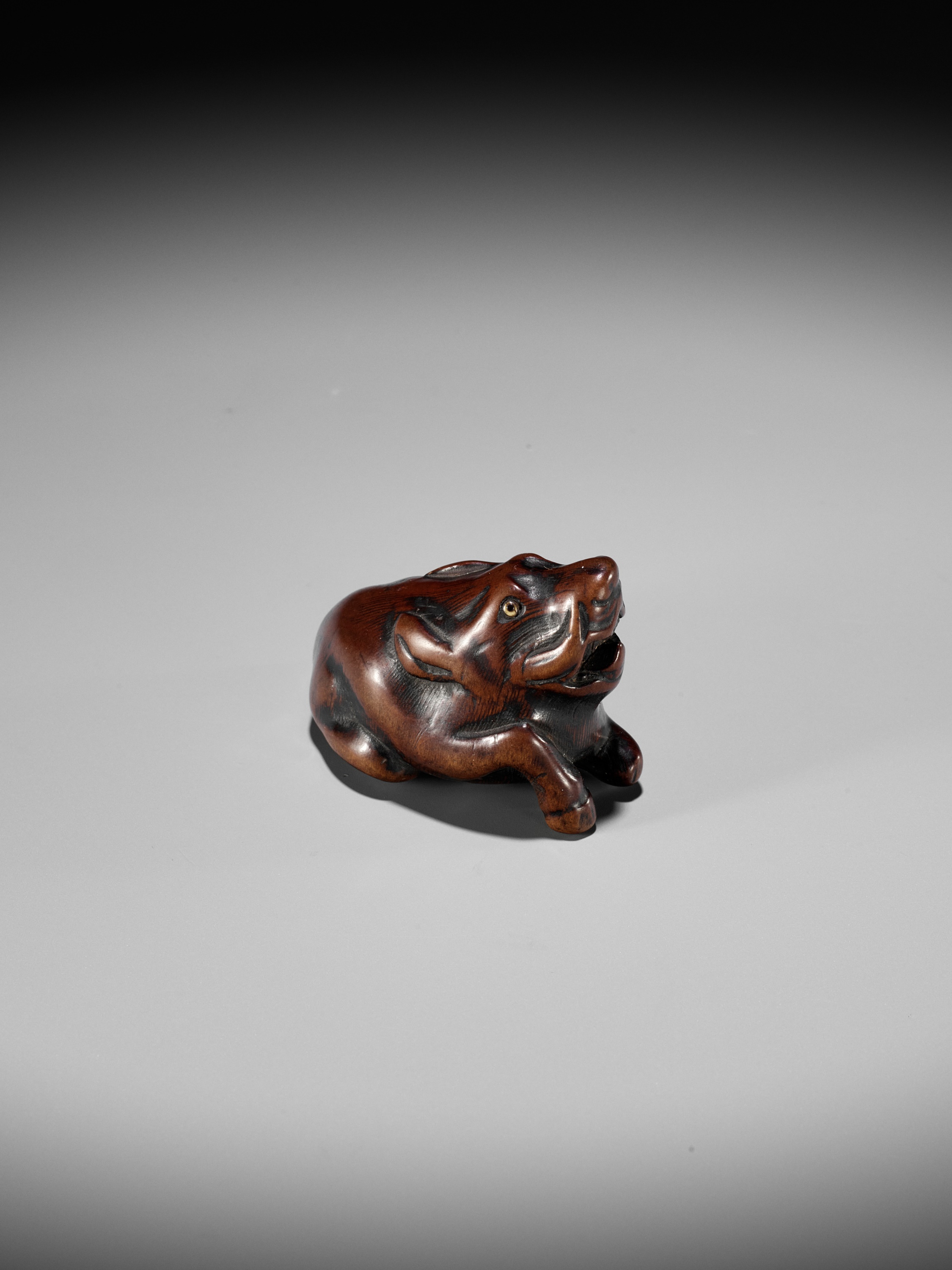 A FINE TANBA SCHOOL WOOD NETSUKE OF A RECUMBENT BOAR - Image 2 of 12