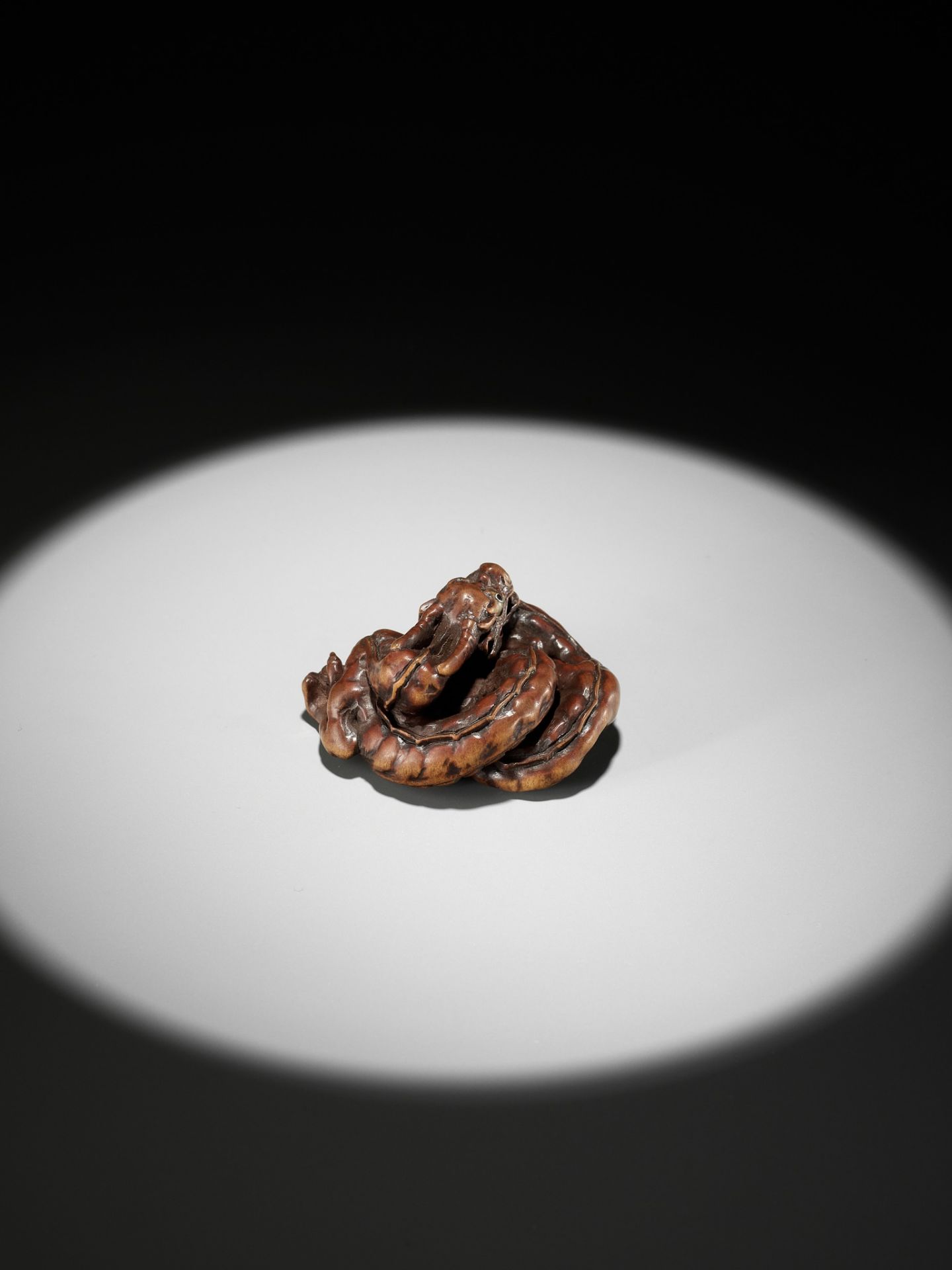 HIDARI ISSAN: A SUPERB WOOD NETSUKE OF A COILED DRAGON - Image 15 of 19