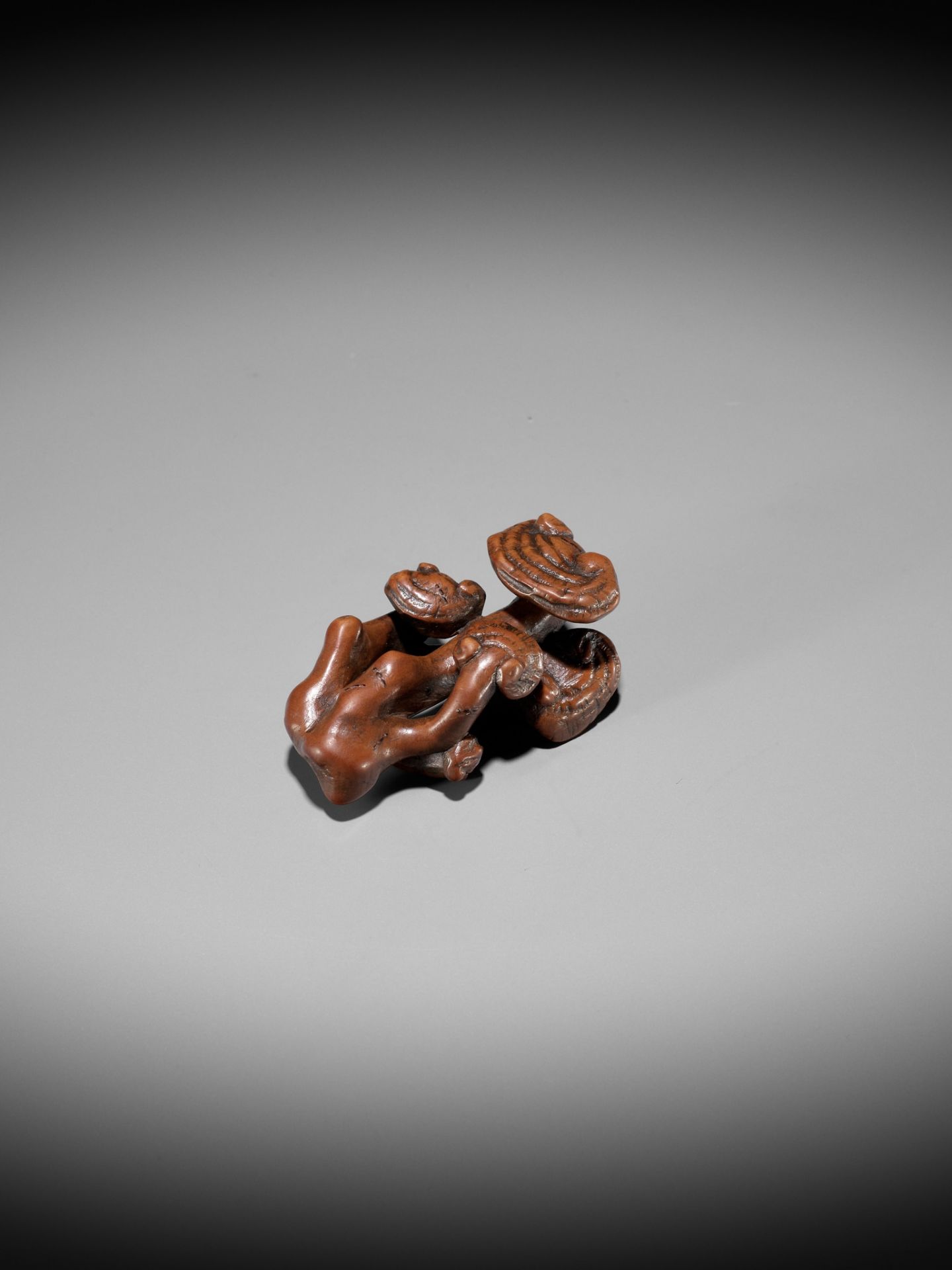 ZESHIN: A WOOD NETSUKE OF A REISHI FUNGUS WITH LACQUERED ANTS - Bild 5 aus 12