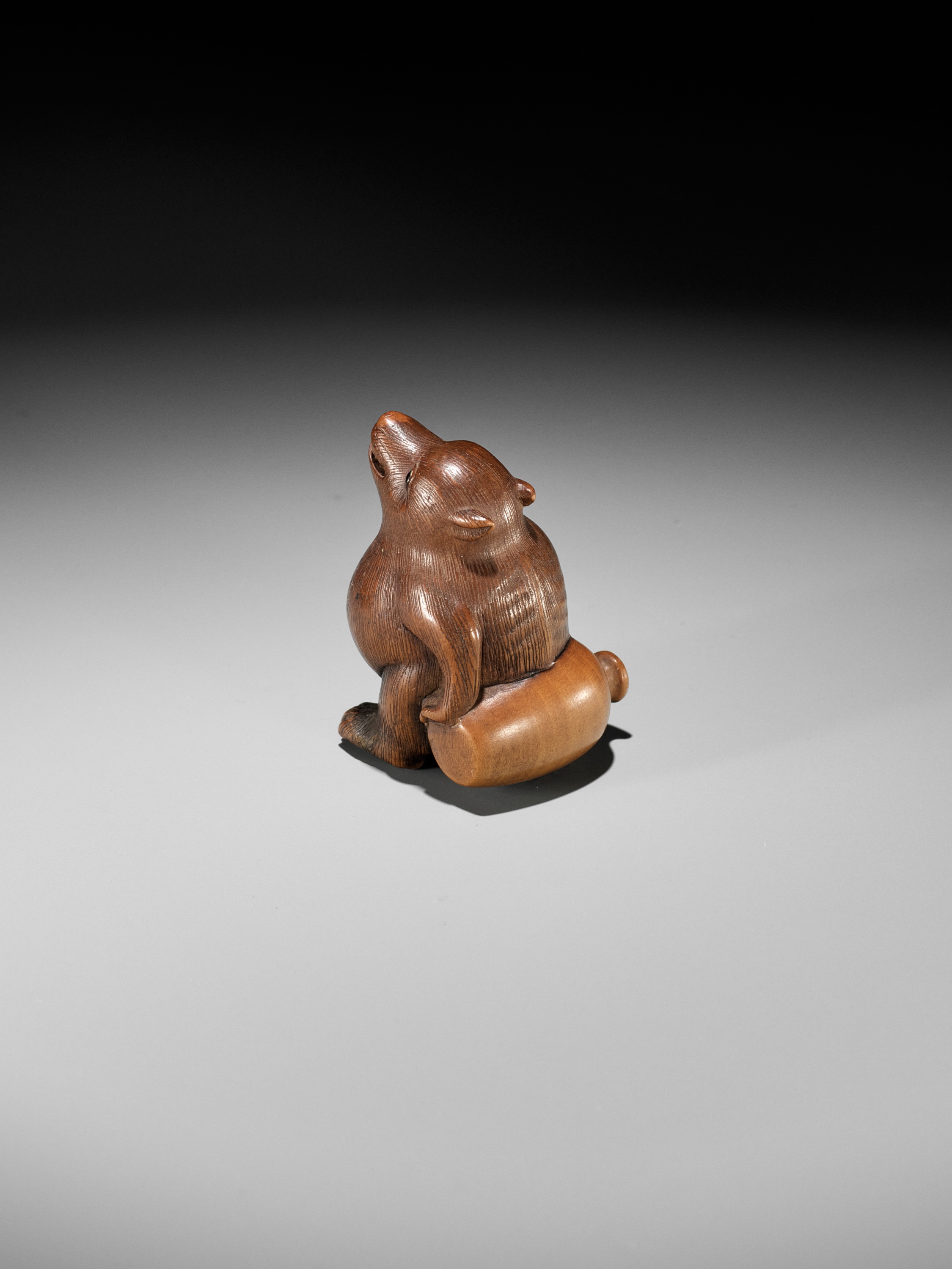 RANSEN: A FINE WOOD NETSUKE OF A DRUNKEN TANUKI HARA NO TSUZUMI - Image 11 of 14