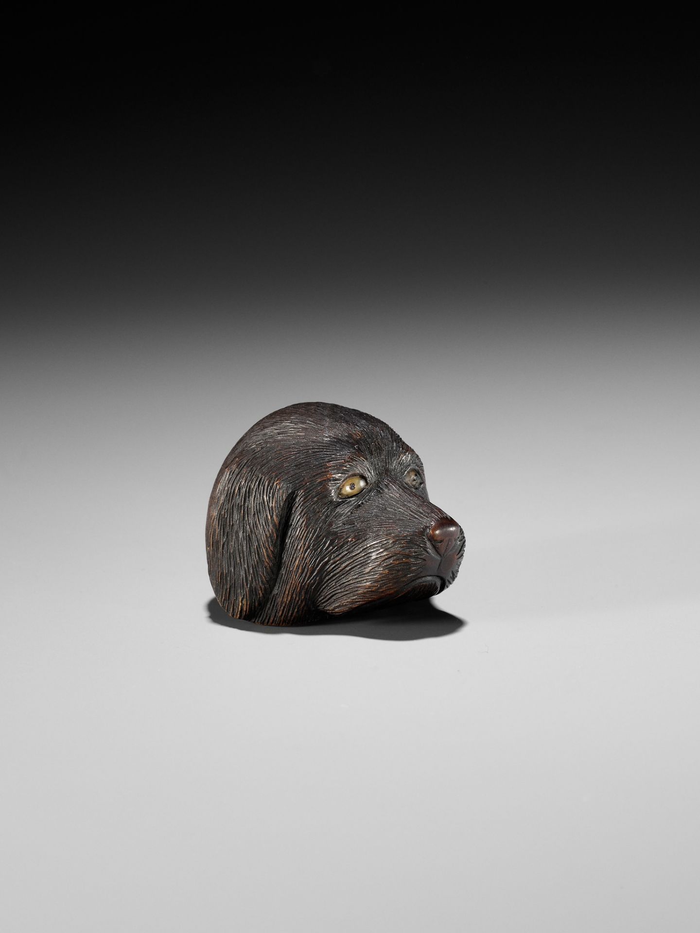 CHIKUSAI: A RARE WOOD NETSUKE DEPICTING THE HEAD OF A DOG - Image 9 of 12