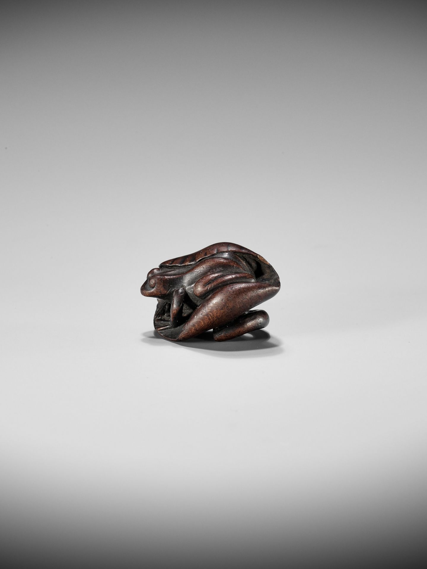 SHUGETSU: A WOOD NETSUKE OF A FROG ON A LOTUS LEAF - Bild 3 aus 9