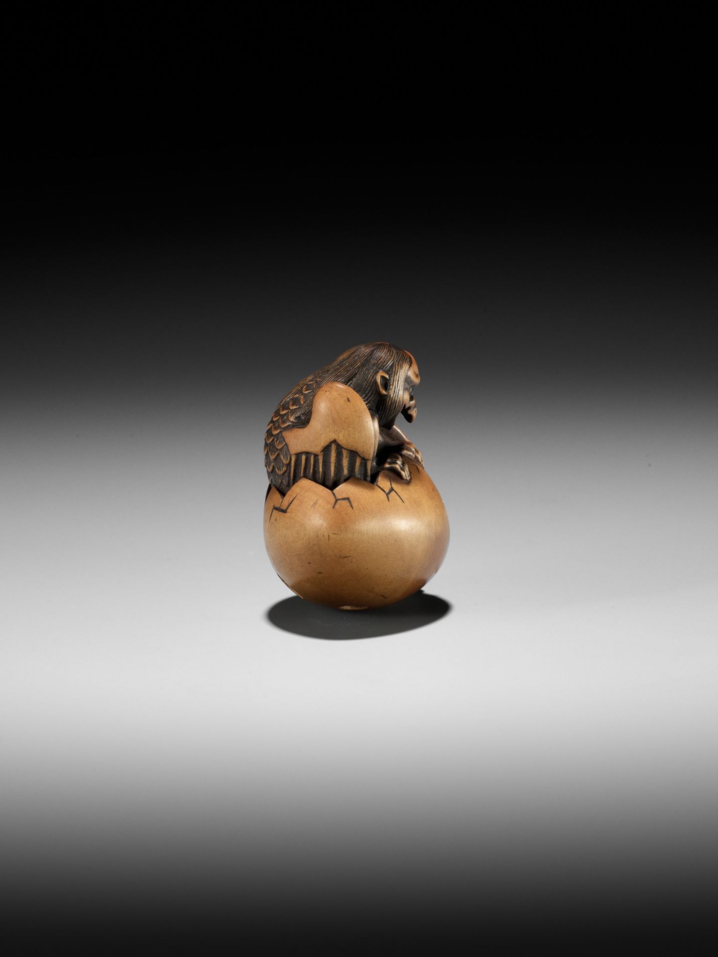 TOYOMASA: A SUPERB WOOD NETSUKE OF A HATCHING TENGU (TENGU NO TAMAGO) - Bild 17 aus 23