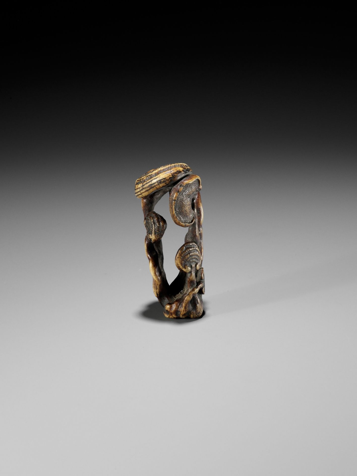 A STAG ANTLER NETSUKE OF REISHI FUNGI - Image 5 of 8