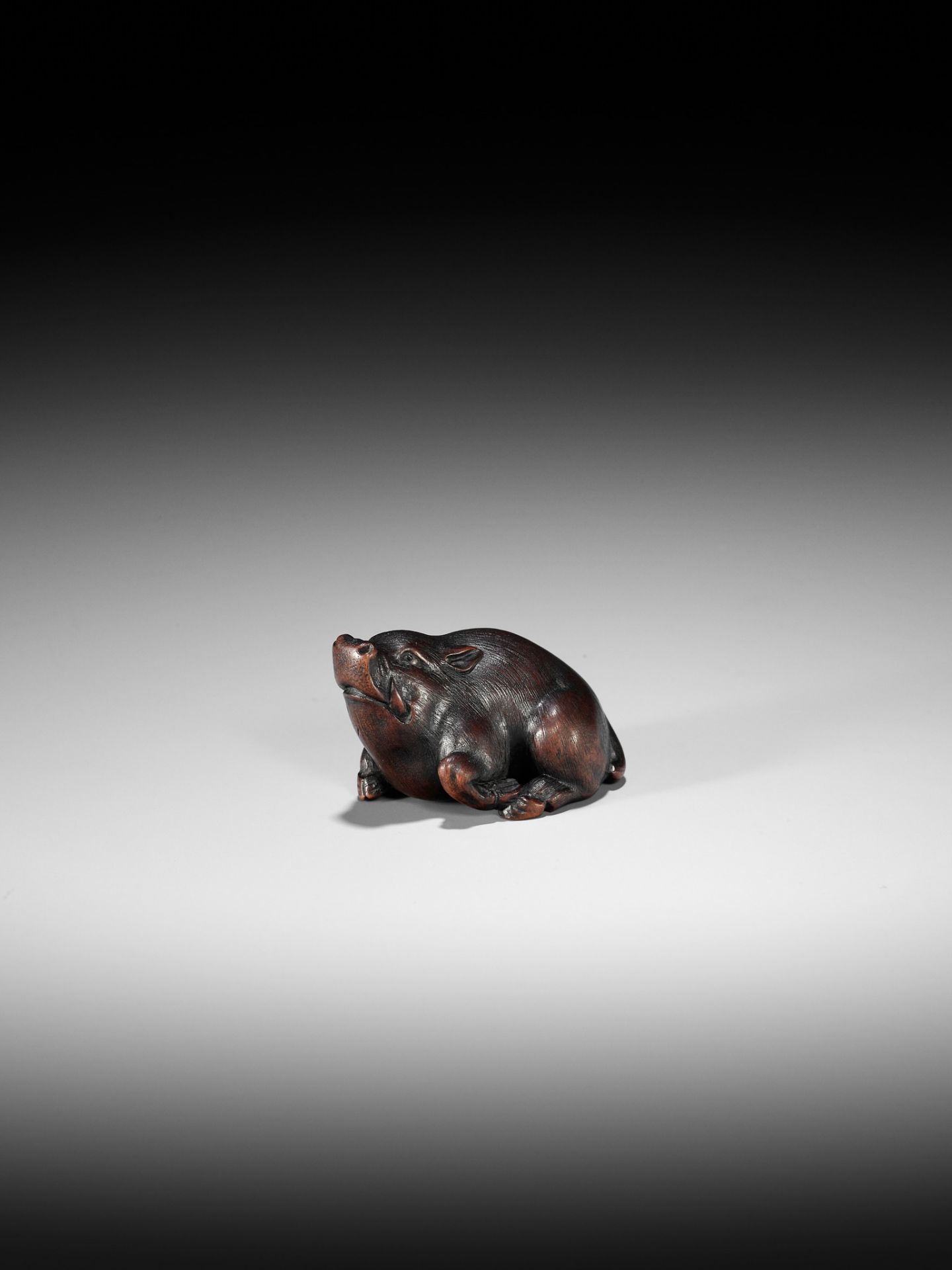 ITTAN: A SUPERB WOOD NETSUKE OF A WILD BOAR - Bild 6 aus 14