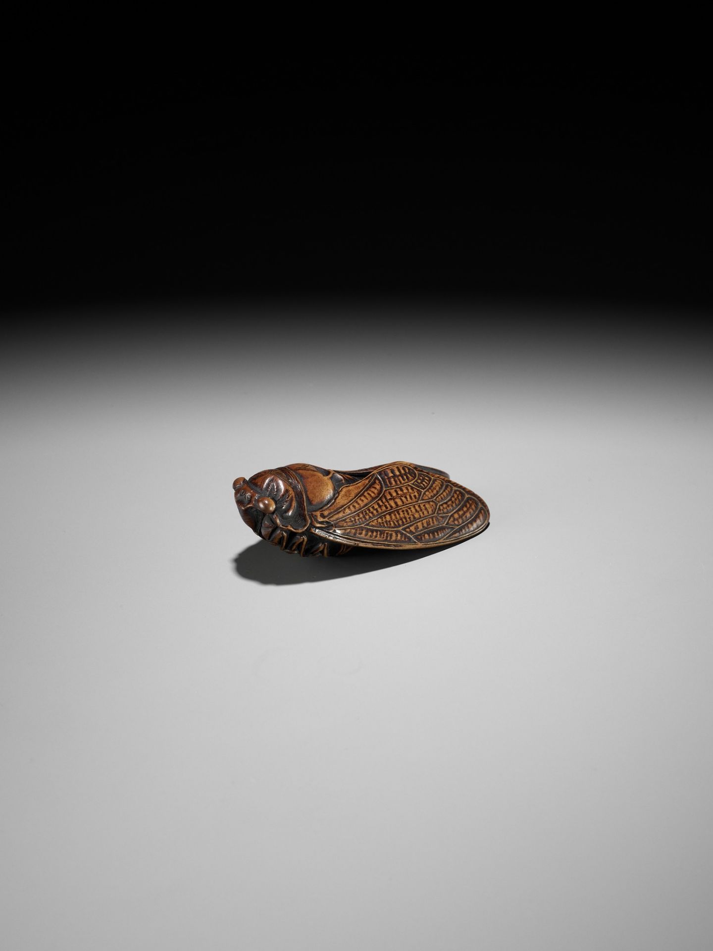 JUGYOKU: A FINE WOOD NETSUKE OF A CICADA - Image 6 of 11