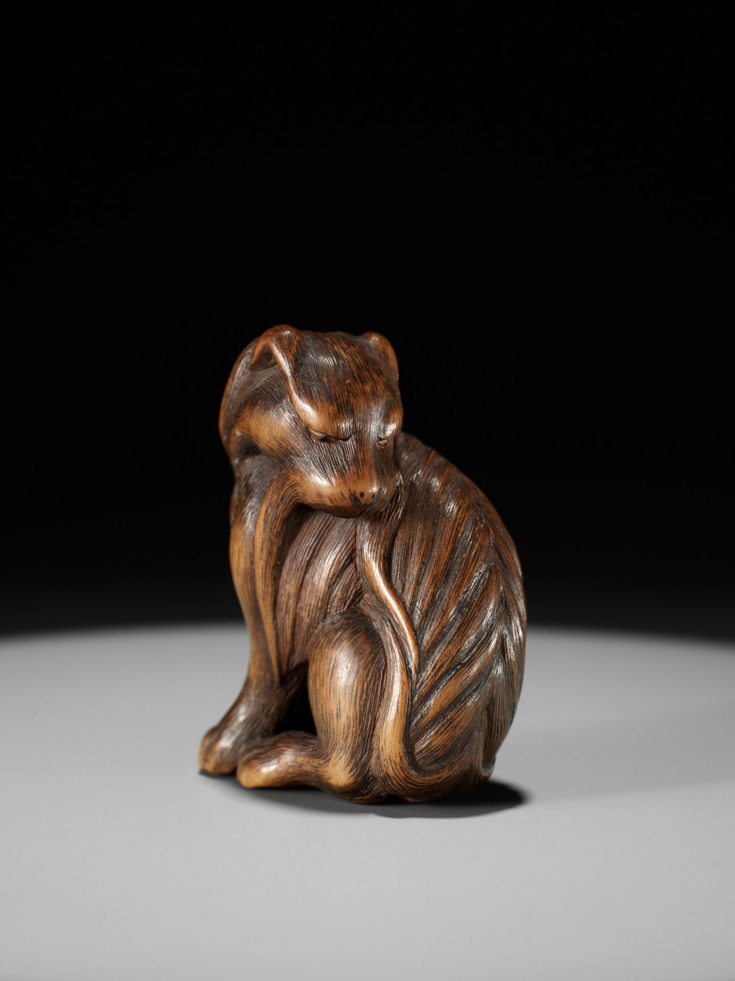 TADAKUNI: A SUPERB AND RARE WOOD NETSUKE OF A JAKONEKO (MUSK CAT) - Bild 19 aus 19