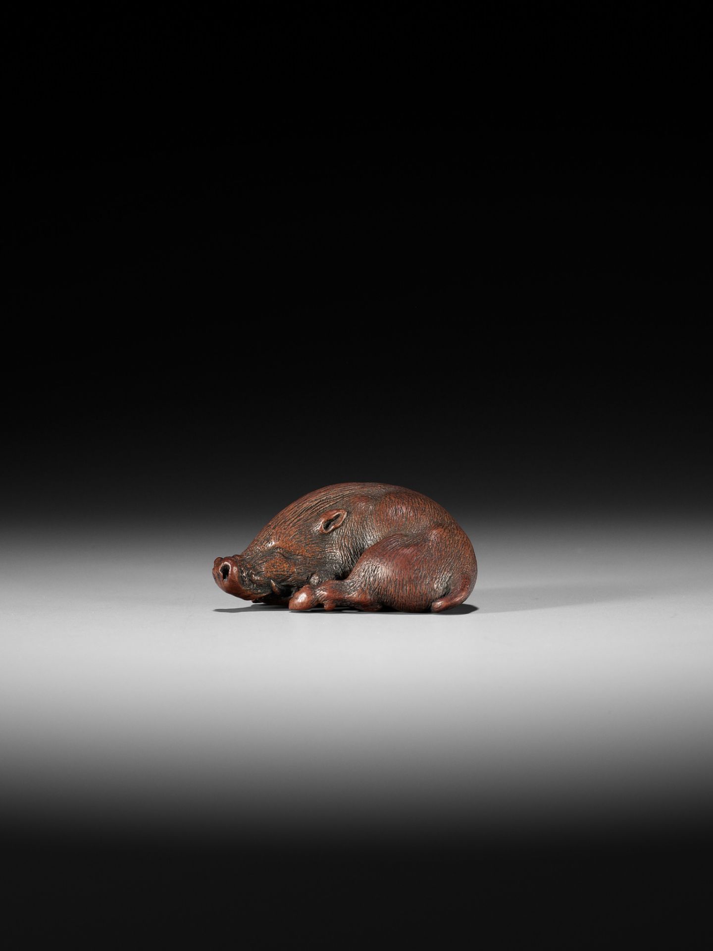 ITTAN: A SUPERB WOOD NETSUKE OF A LONG-SNOUTED WILD BOAR - Bild 8 aus 16