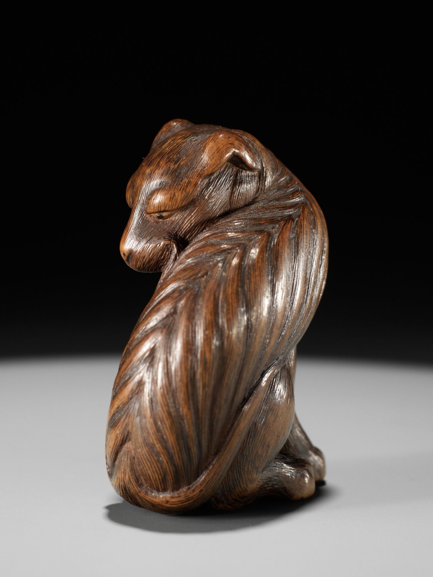 TADAKUNI: A SUPERB AND RARE WOOD NETSUKE OF A JAKONEKO (MUSK CAT) - Bild 17 aus 19