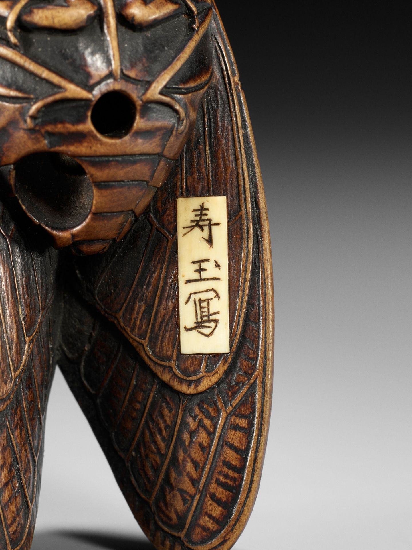 JUGYOKU: A FINE WOOD NETSUKE OF A CICADA - Image 11 of 11