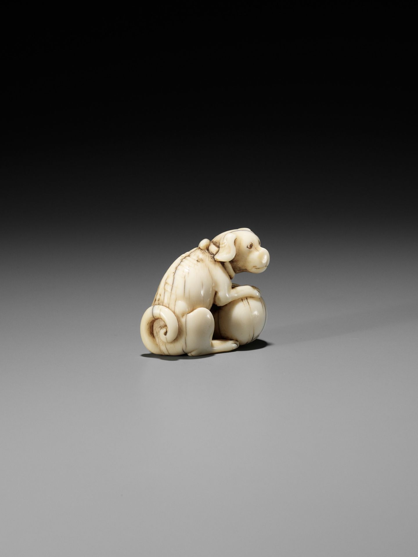 TOMOTADA: AN IVORY NETSUKE OF A DOG WITH BALL - Bild 7 aus 12