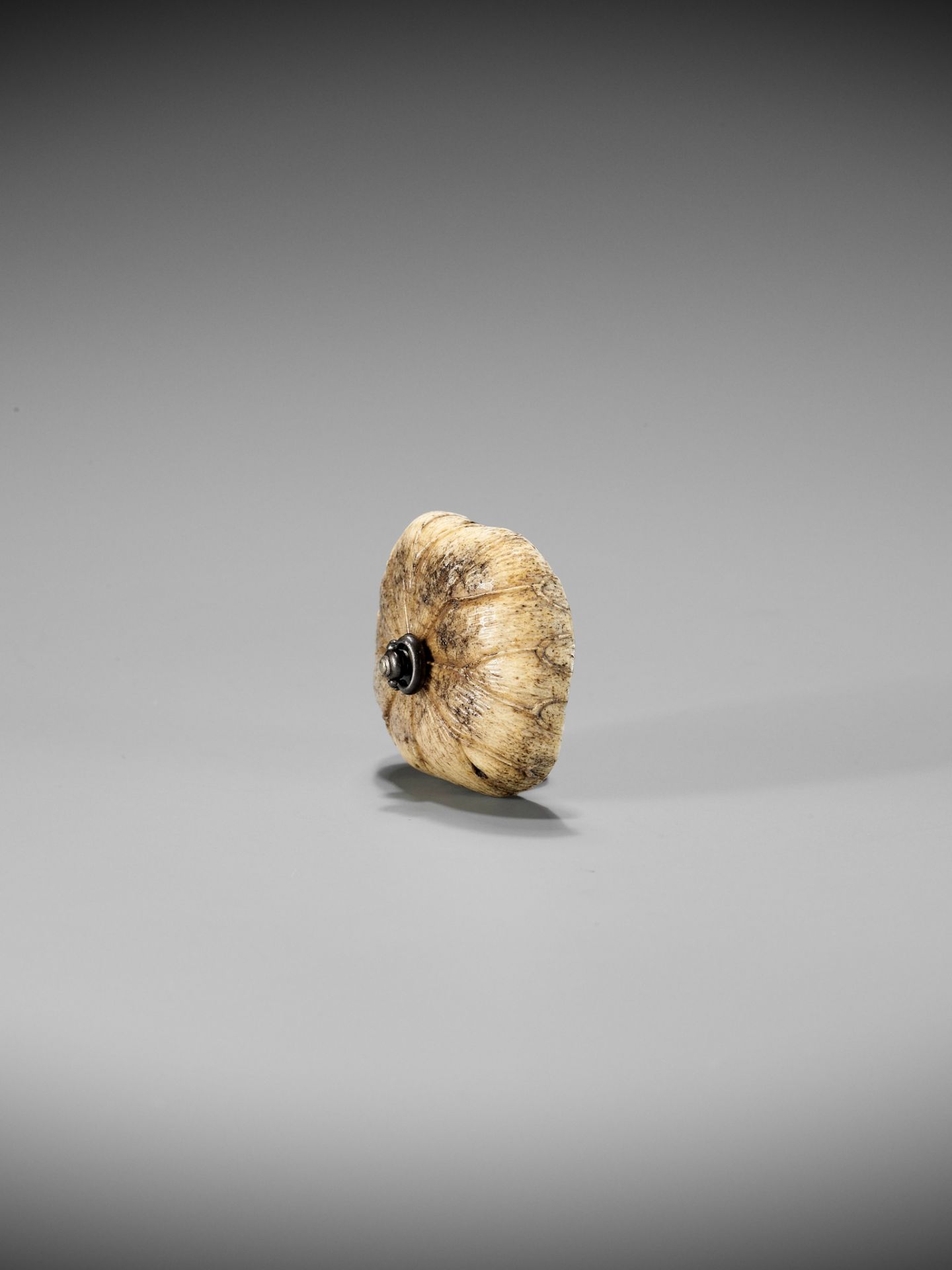 A RARE STAG ANTLER AND IRON NETSUKE DEPICTING A FROG ON A LOTUS LEAF - Image 7 of 8