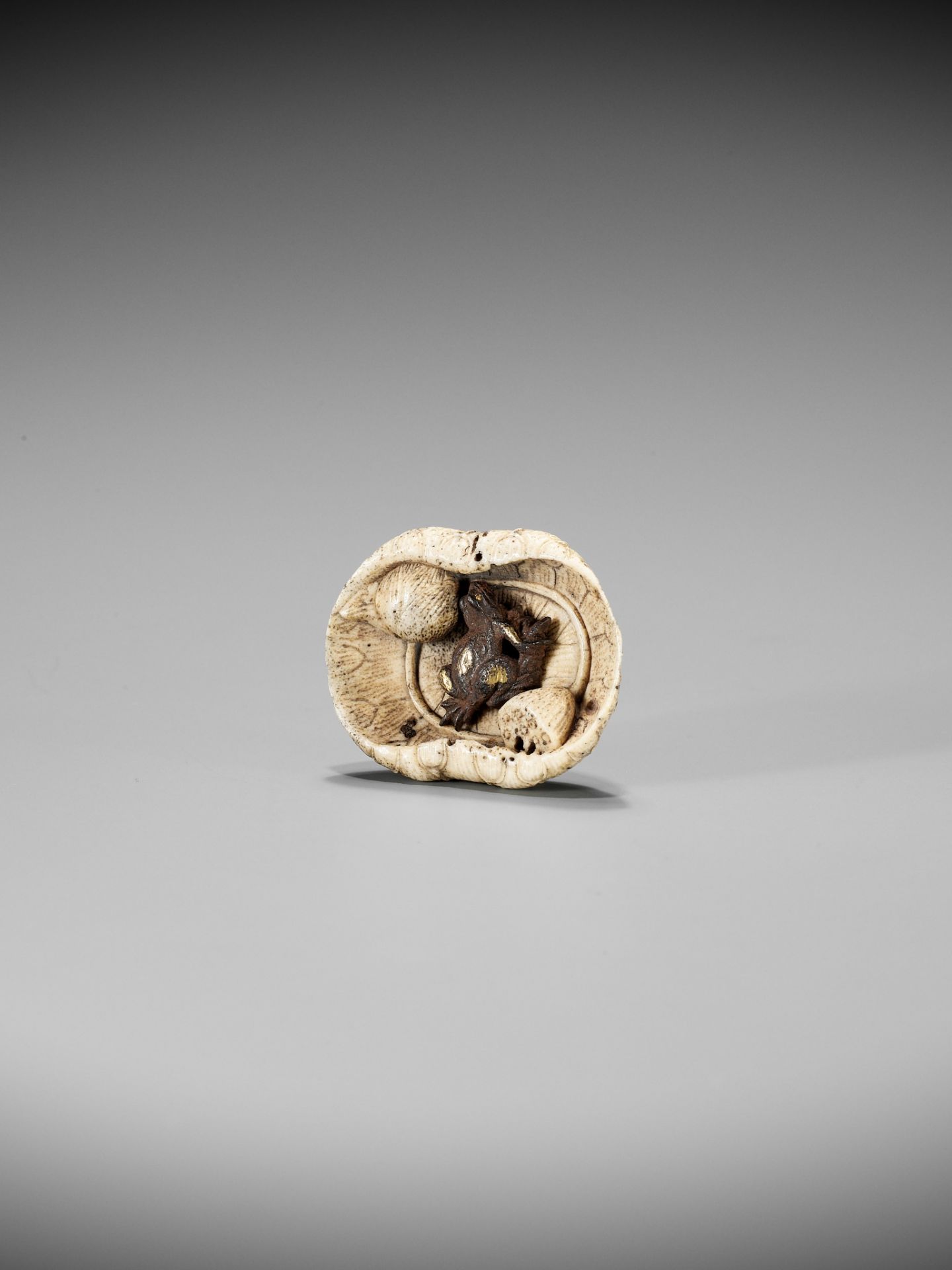 A RARE STAG ANTLER AND IRON NETSUKE DEPICTING A FROG ON A LOTUS LEAF - Image 3 of 8