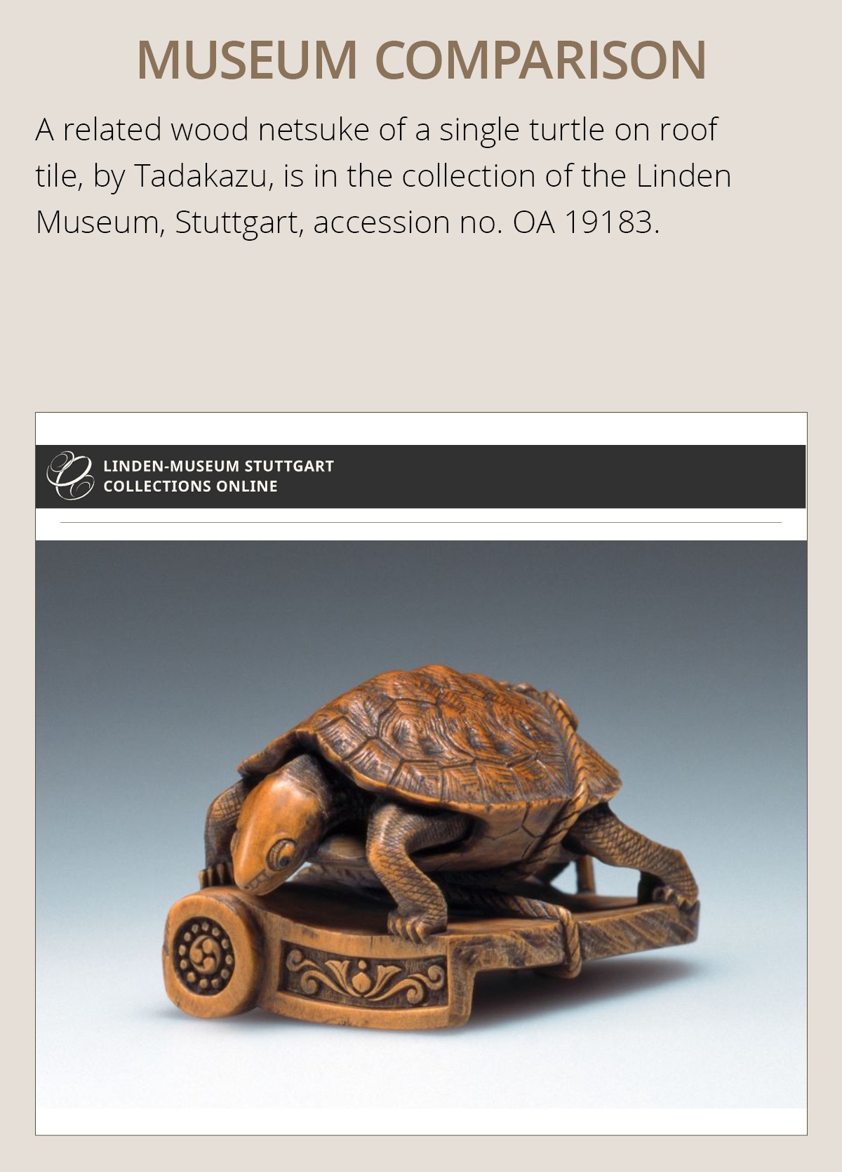 A WOOD OKIMONO NETSUKE OF A TURTLE PILE ON A ROOF TILE, ATTRIBUTED TO TADAKAZU - Image 5 of 14