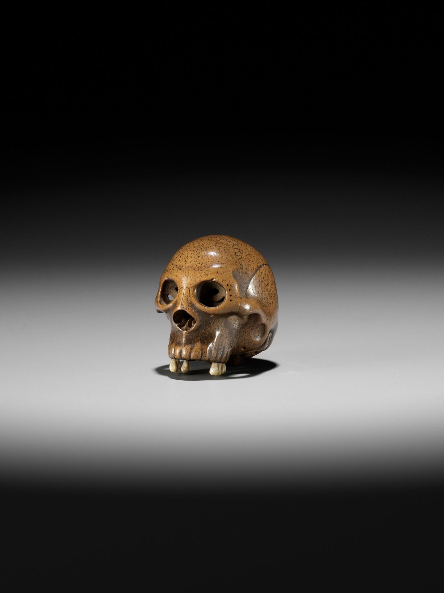TADASHIGE: A SUPERB WOOD NETSUKE OF A SKULL WITH INLAID STAG ANTLER TEETH - Image 7 of 12