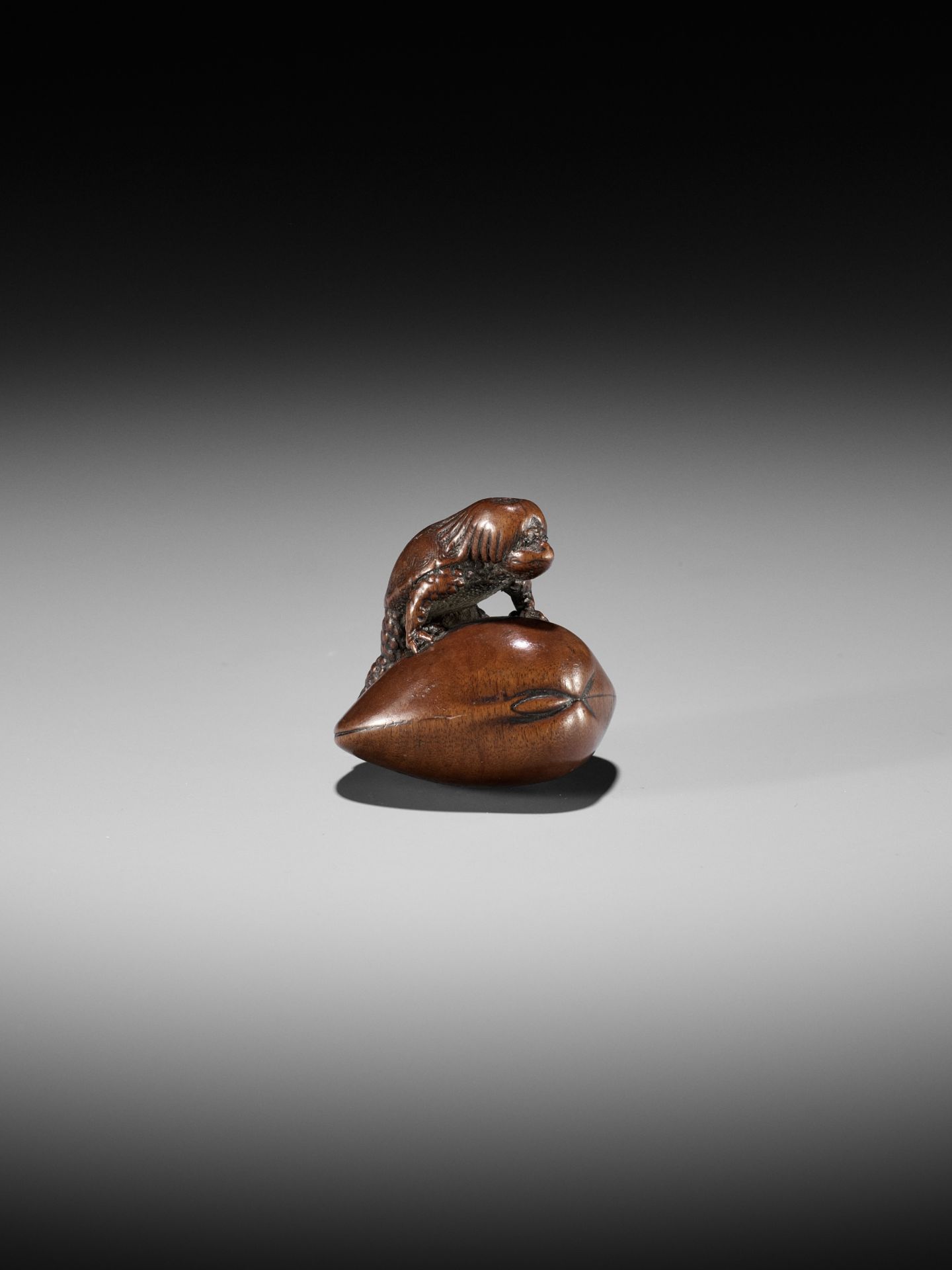 SUKETADA: A FINE WOOD NETSUKE OF A KAPPA TRAPPED BY A CLAM - Image 2 of 16