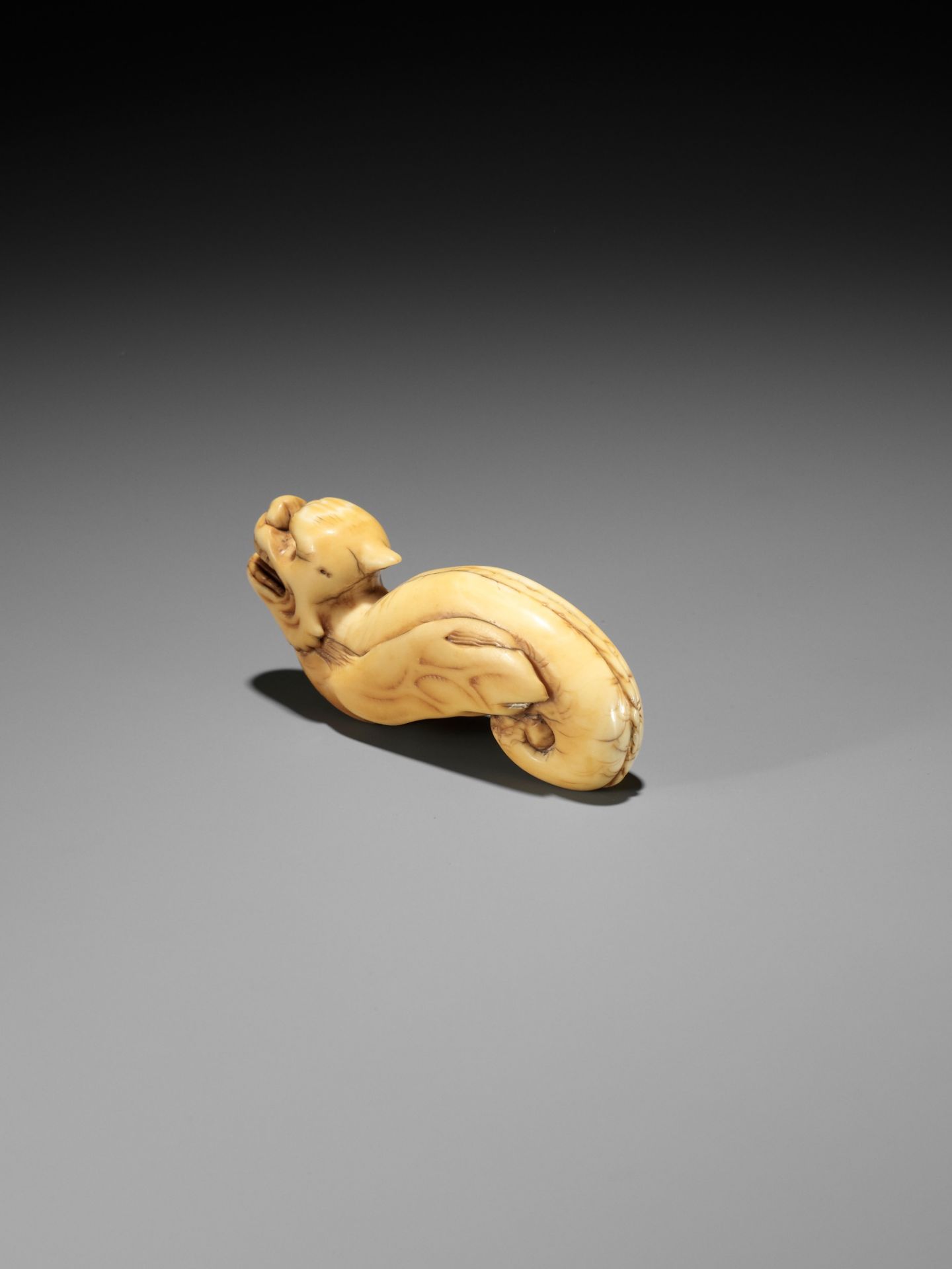 A RARE IVORY NETSUKE OF A WINGED DRAGON-FISH (MAKATSUGYO) - Bild 9 aus 13