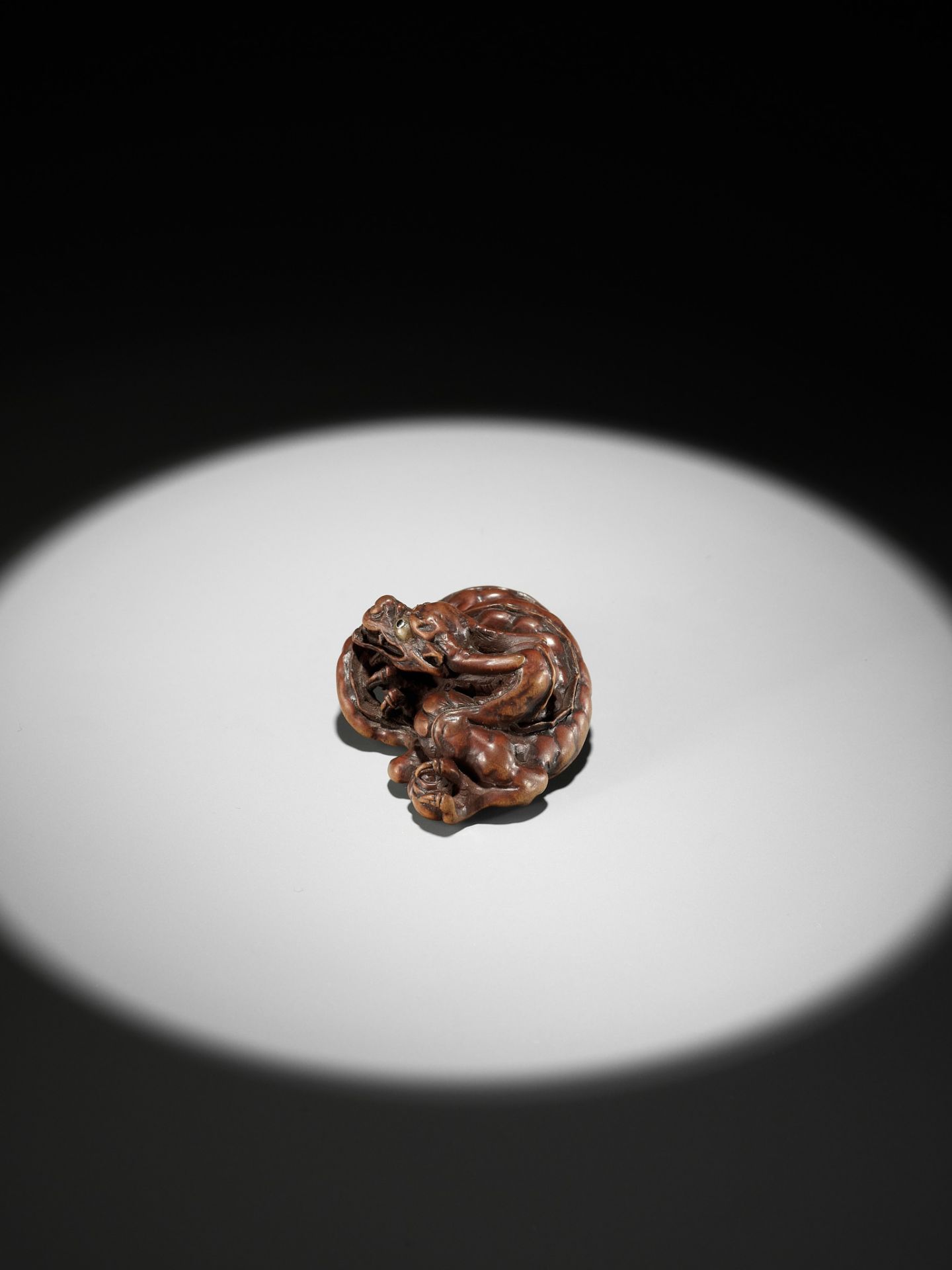 HIDARI ISSAN: A SUPERB WOOD NETSUKE OF A COILED DRAGON - Image 12 of 19