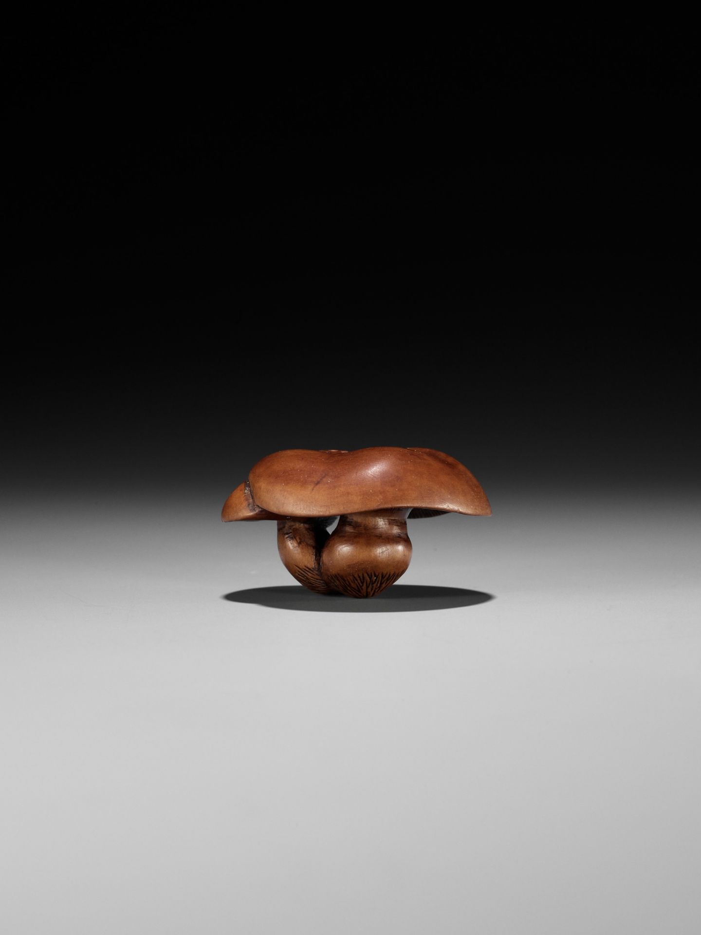 A FINE NAGOYA SCHOOL WOOD NETSUKE OF SHIMEJI MUSHROOMS - Bild 8 aus 11