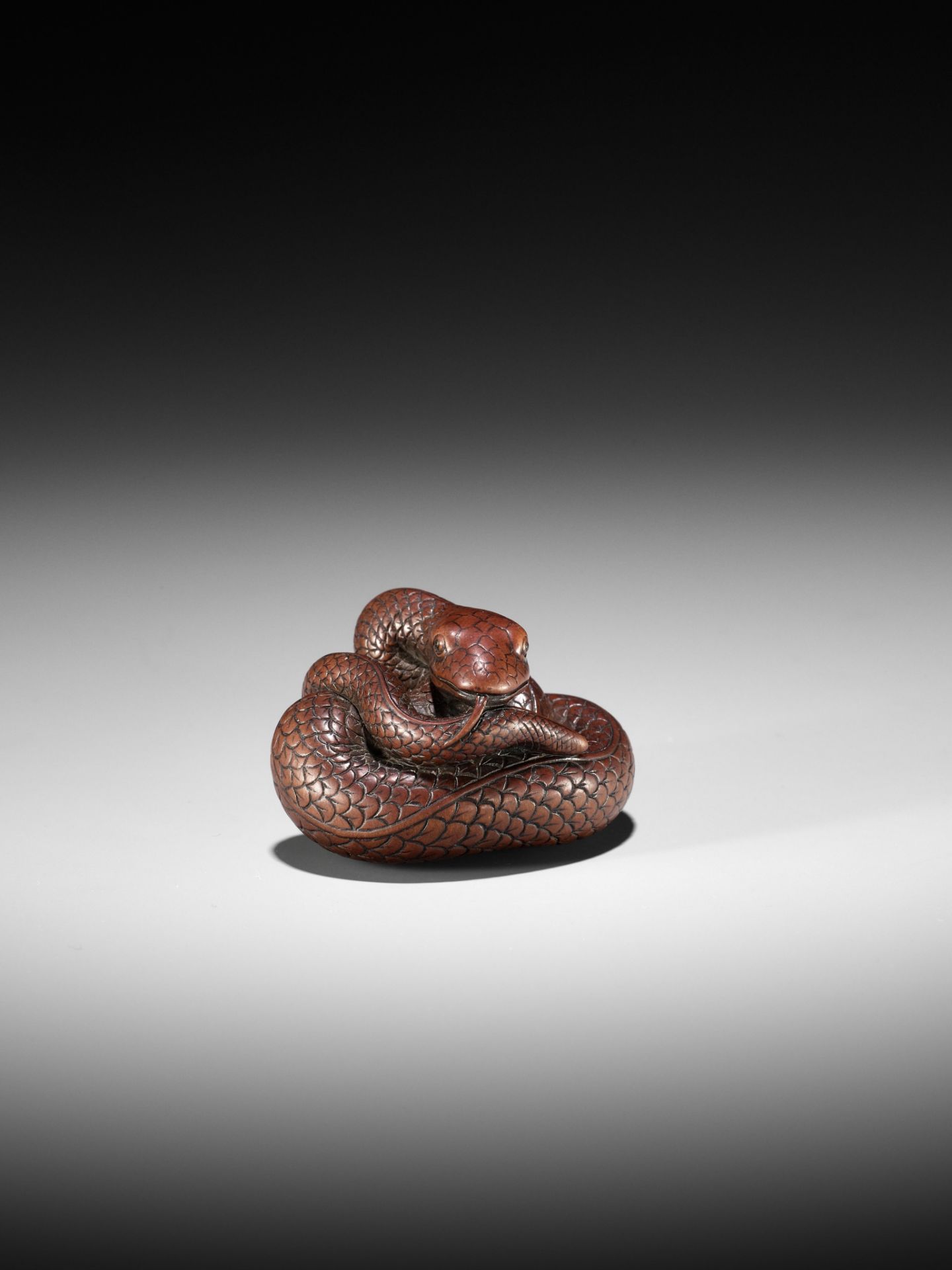 AN EXCEPTIONAL AND LARGE WOOD NETSUKE OF A SNAKE, ATTRIBUTED TO OKATOMO - Image 3 of 19