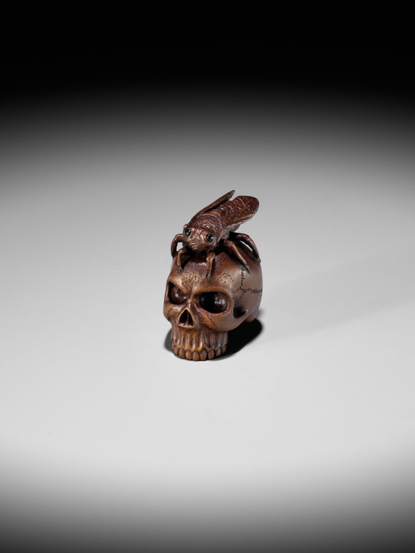 ALEXANDER DERKACHENKO: A WOOD NETSUKE OF A CICADA ON A SKULL - Image 2 of 16