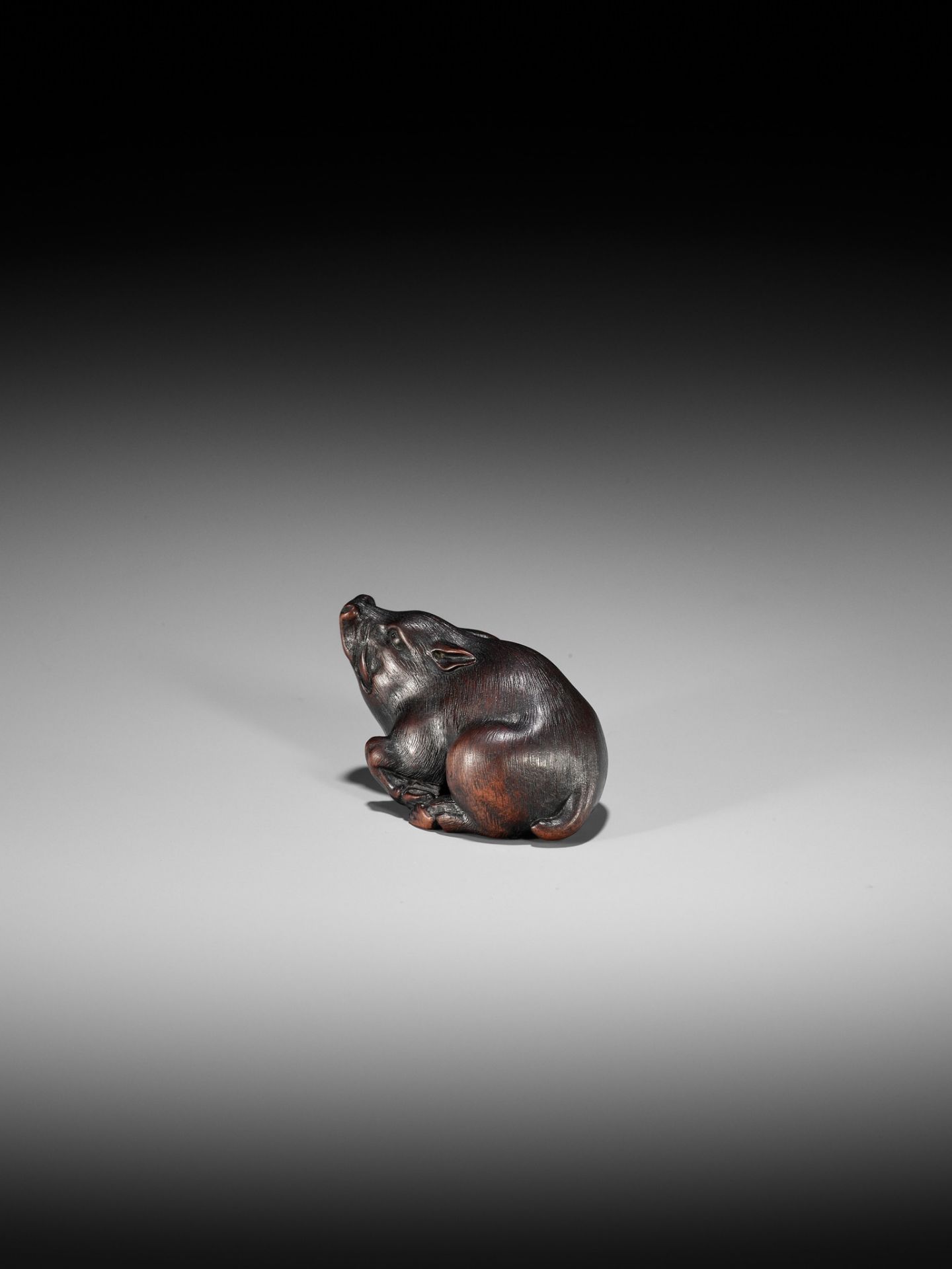 ITTAN: A SUPERB WOOD NETSUKE OF A WILD BOAR - Bild 7 aus 14