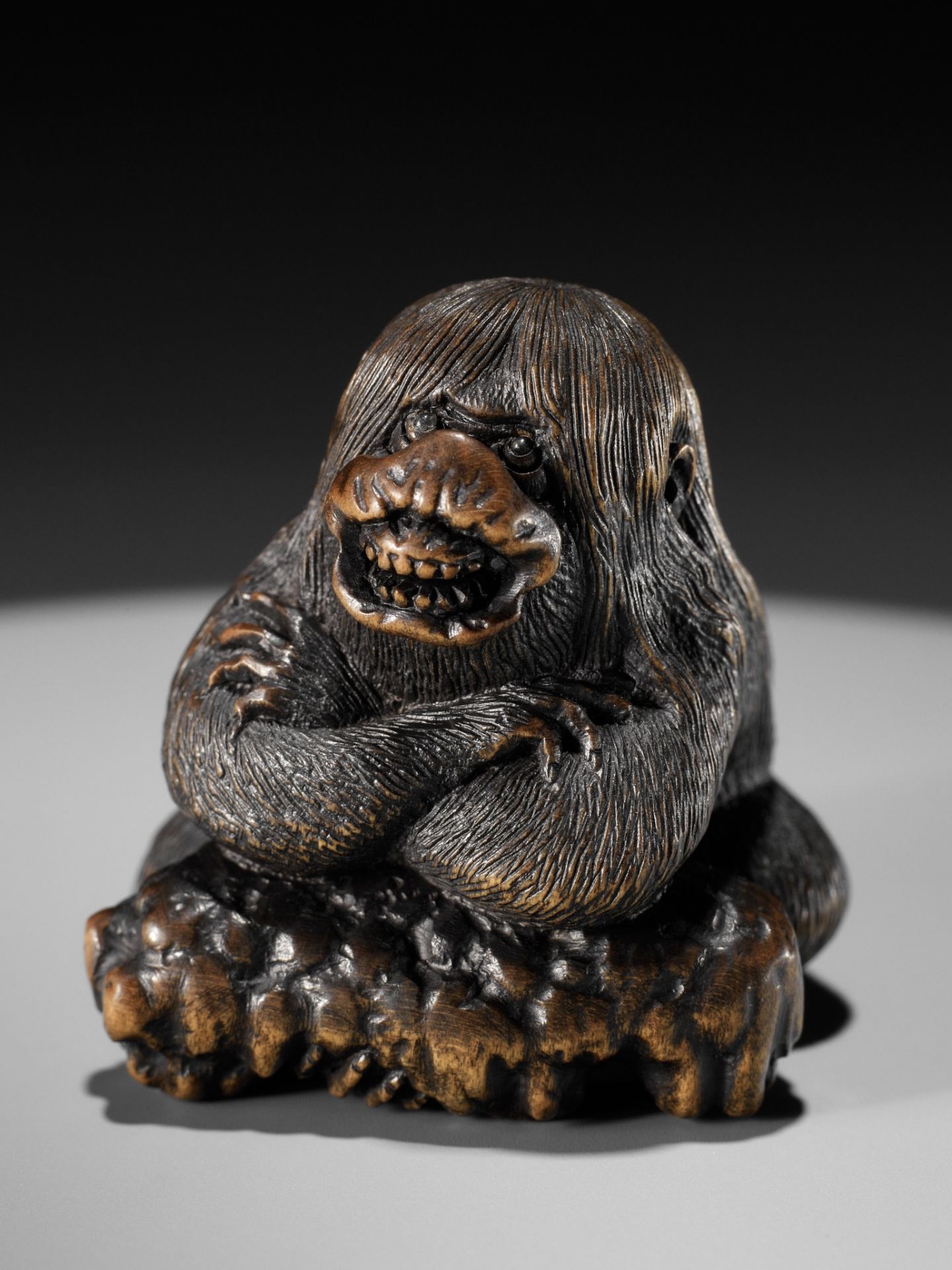 HOSHUNSAI MASAYUKI: A MASTERFUL WOOD NETSUKE OF A STRANGE KAPPA - Bild 9 aus 22