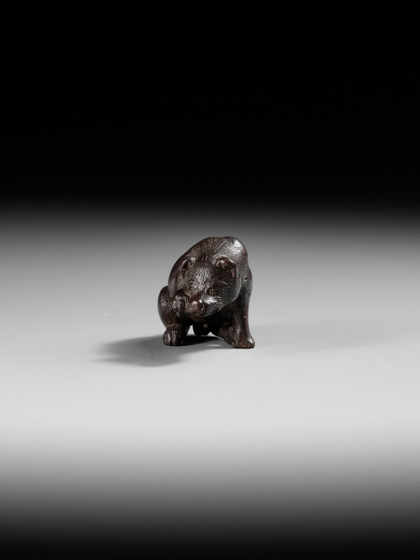 A RARE DARK WOOD NETSUKE OF A DOG SCRATCHING ITS JOWL - Bild 2 aus 10