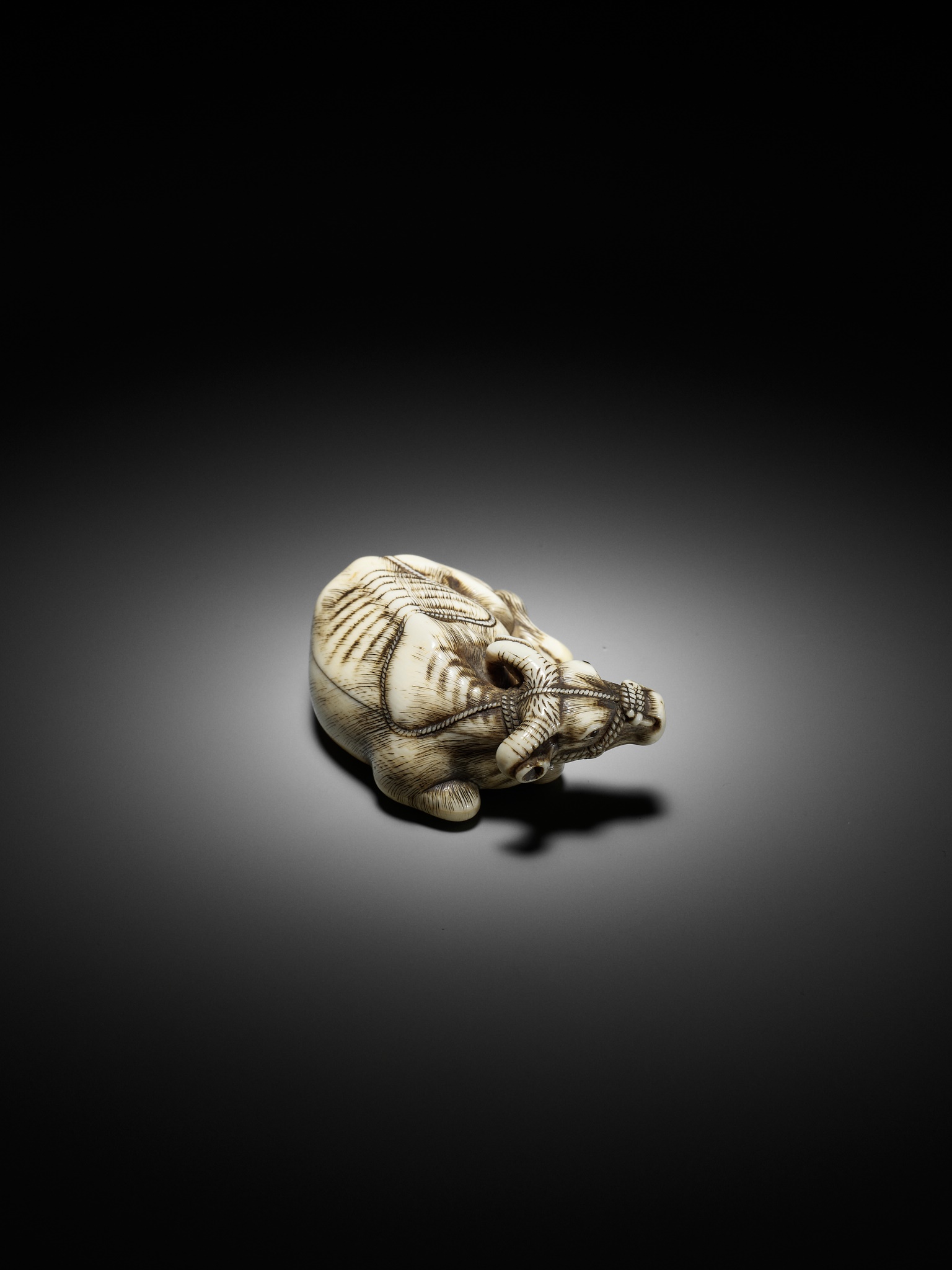 TOMOTADA: A SUPERB IVORY NETSUKE OF A RECUMBENT COW - Image 3 of 18