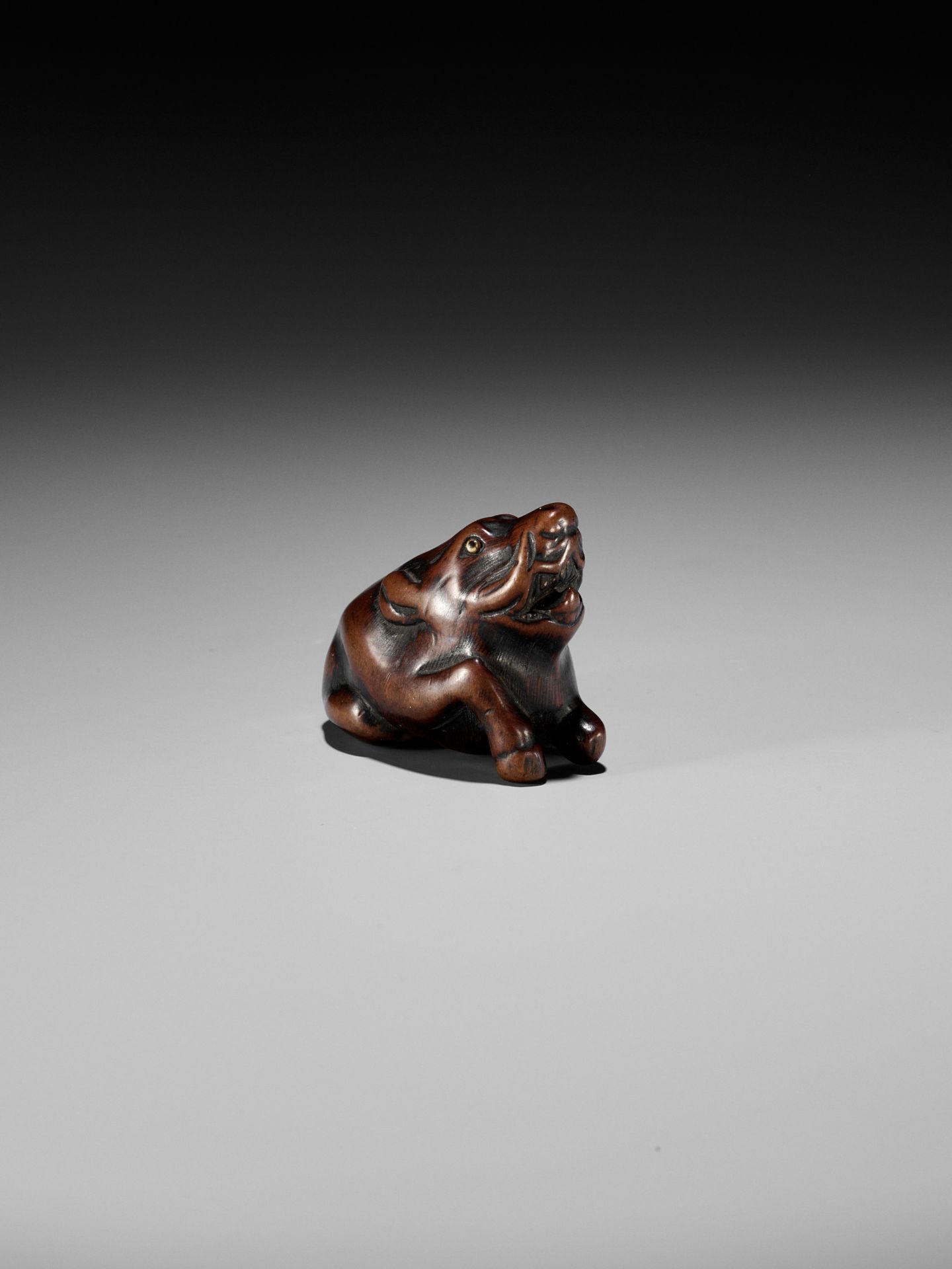 A FINE TANBA SCHOOL WOOD NETSUKE OF A RECUMBENT BOAR - Image 10 of 12