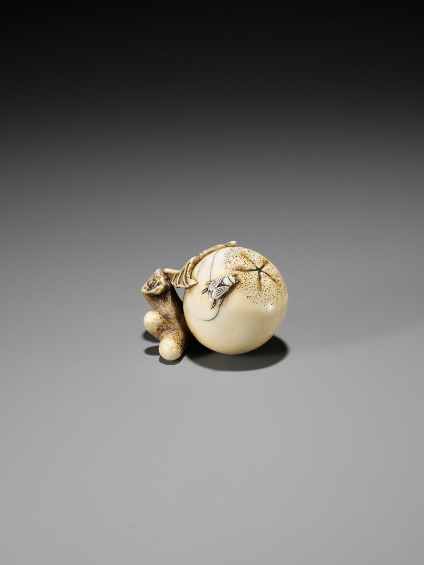 MITSUHIRO: AN IVORY NETSUKE OF A FLY ON A BIWA (LOQUAT) - Bild 8 aus 11