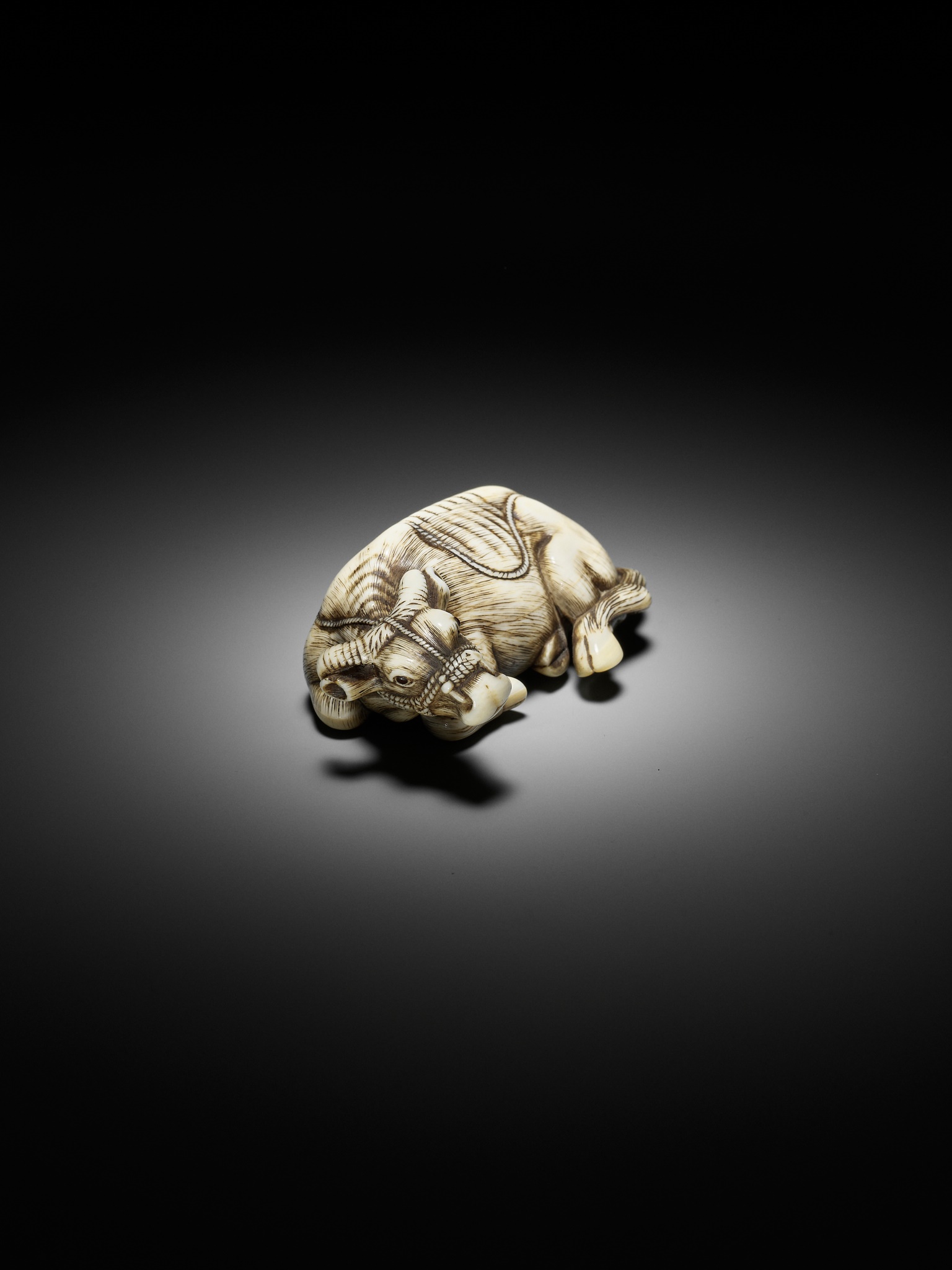 TOMOTADA: A SUPERB IVORY NETSUKE OF A RECUMBENT COW - Image 11 of 18