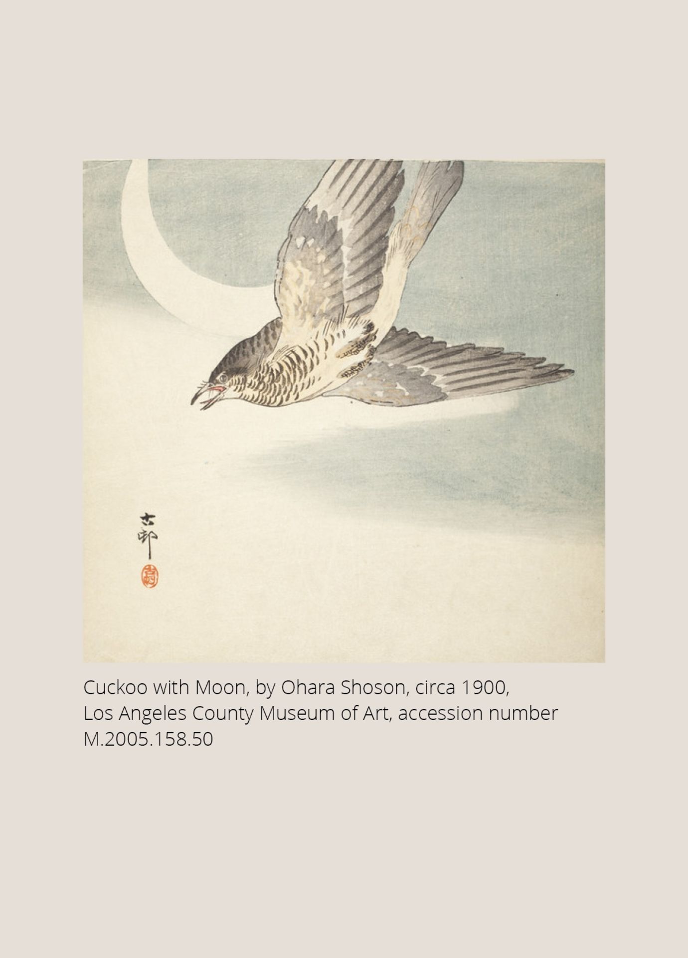 A FINE STAG ANTLER RYUSA MANJU NETSUKE OF A CUCKOO AND MOON, ATTRIBUTED TO RENSAI - Image 6 of 12