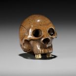 TADASHIGE: A SUPERB WOOD NETSUKE OF A SKULL WITH INLAID STAG ANTLER TEETH