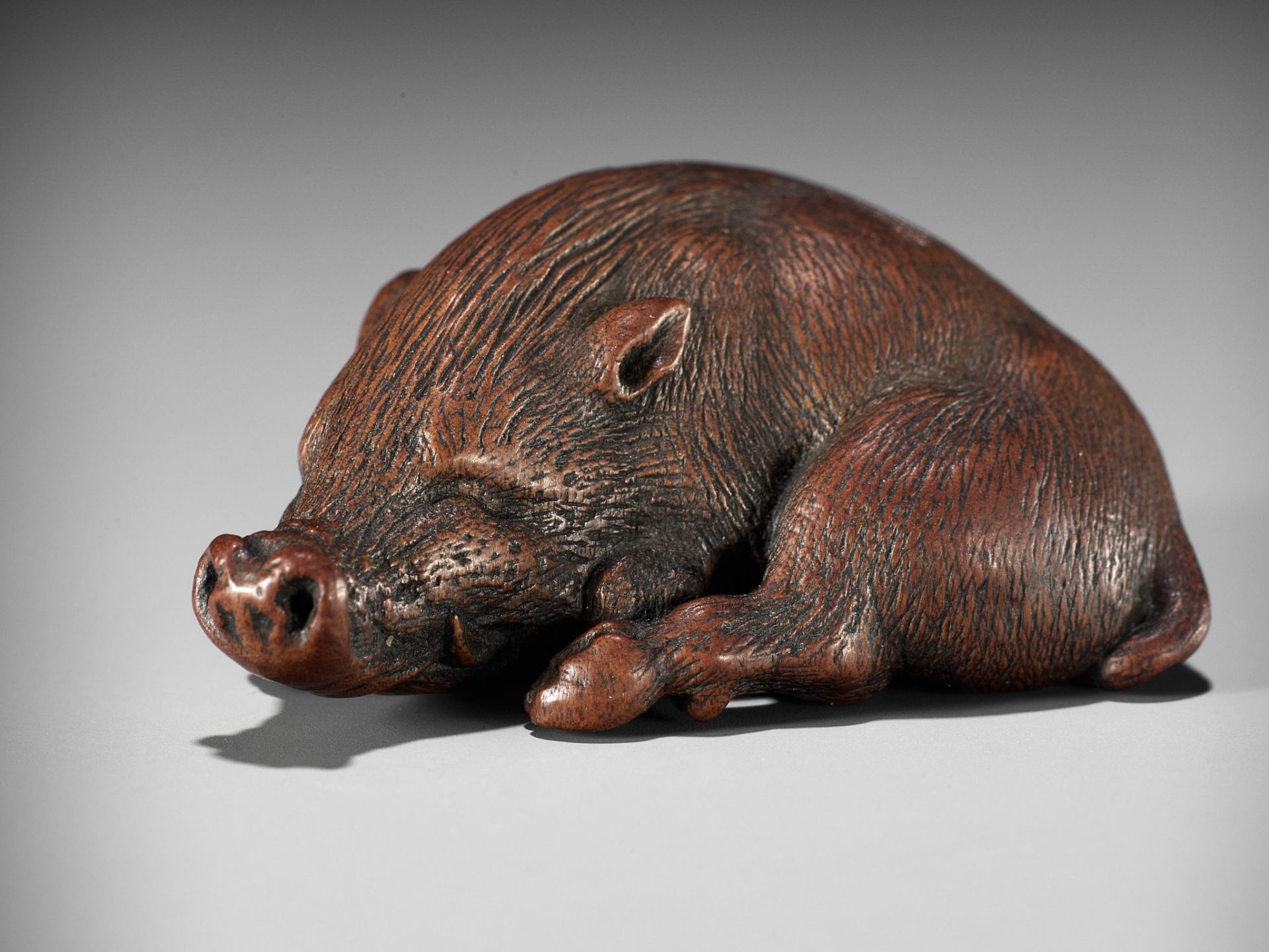 ITTAN: A SUPERB WOOD NETSUKE OF A LONG-SNOUTED WILD BOAR - Bild 2 aus 16