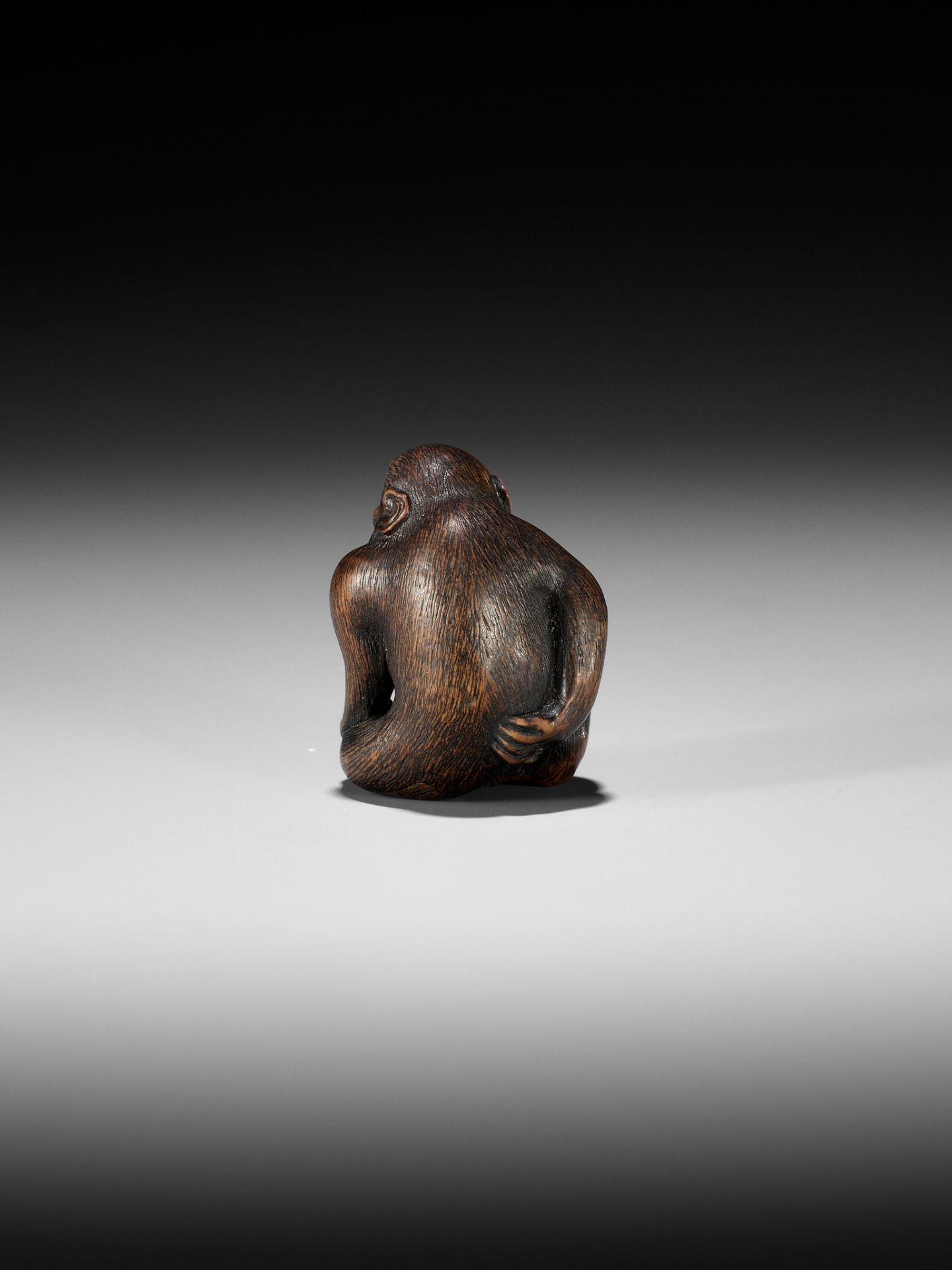 NAITO TOYOMASA: A SUPERB WOOD NETSUKE OF A MONKEY SCRATCHING ITSELF - Bild 6 aus 17