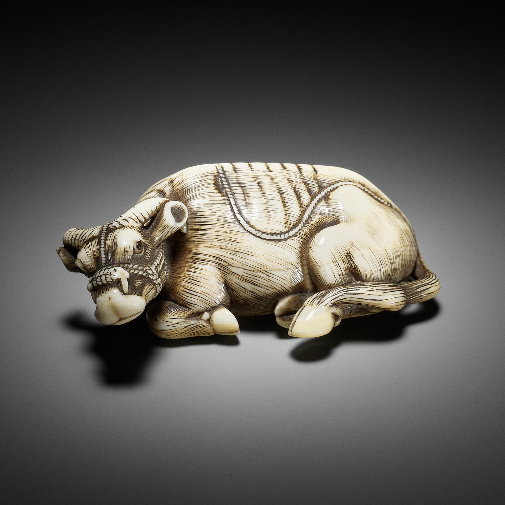 TOMOTADA: A SUPERB IVORY NETSUKE OF A RECUMBENT COW