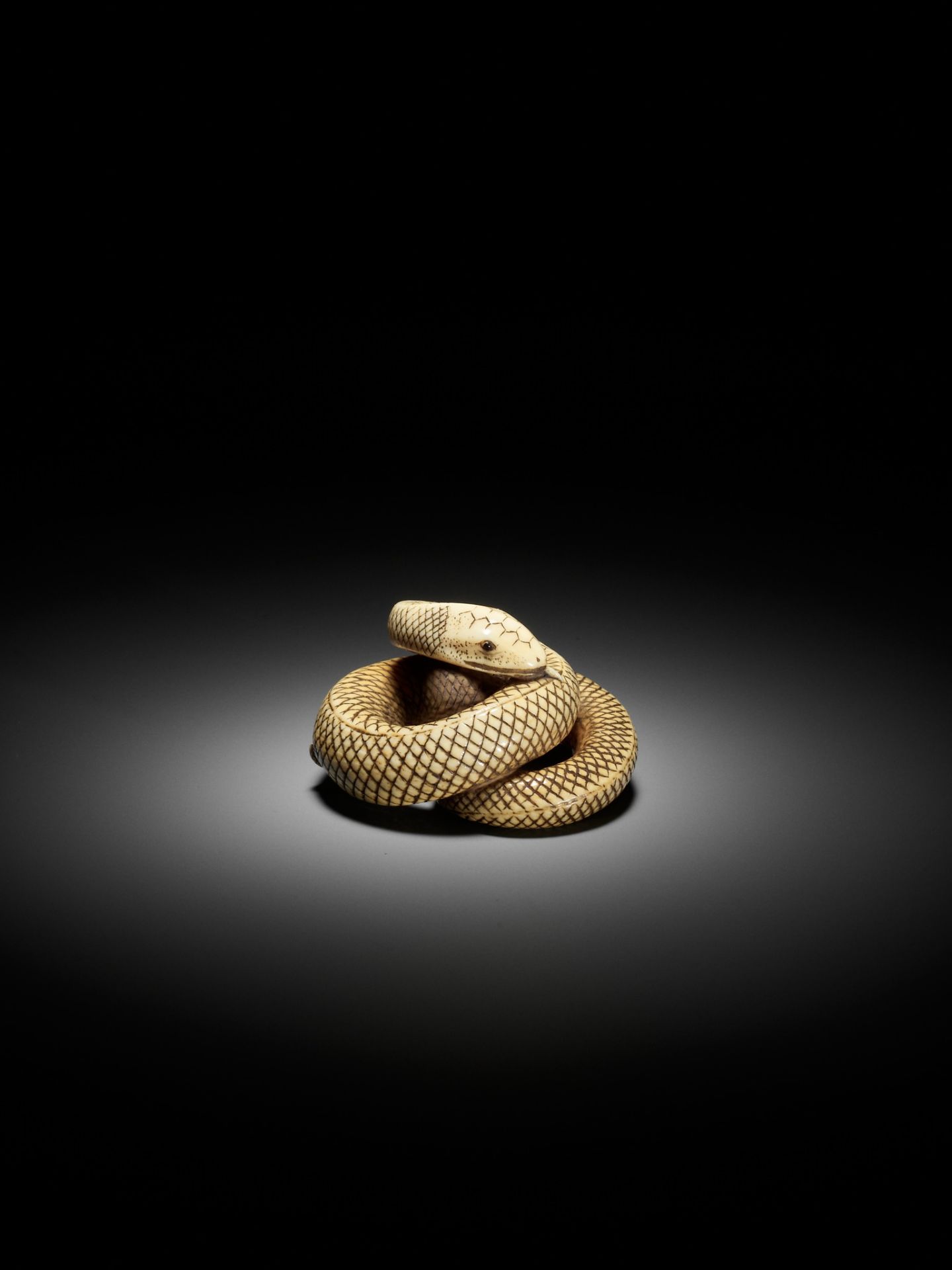 AN IVORY NETSUKE OF A COILED SNAKE, ATTRIBUTED TO OKATOMO - Image 11 of 16