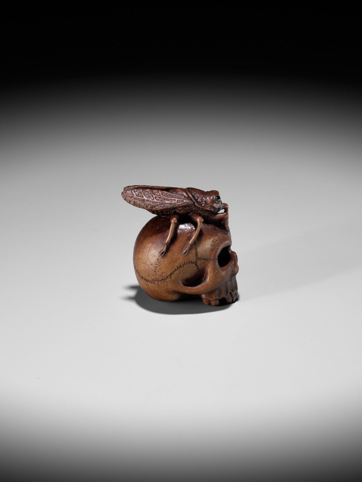 ALEXANDER DERKACHENKO: A WOOD NETSUKE OF A CICADA ON A SKULL - Image 11 of 16