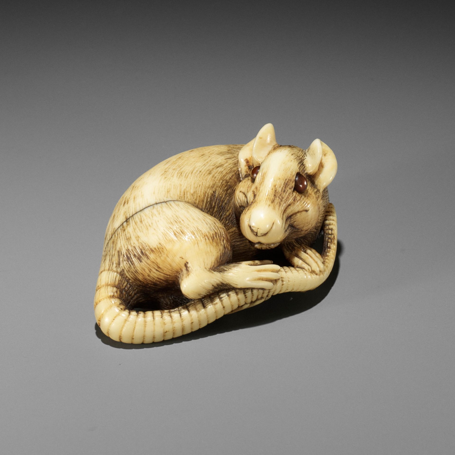 A FINE KYOTO SCHOOL IVORY NETSUKE OF A RAT