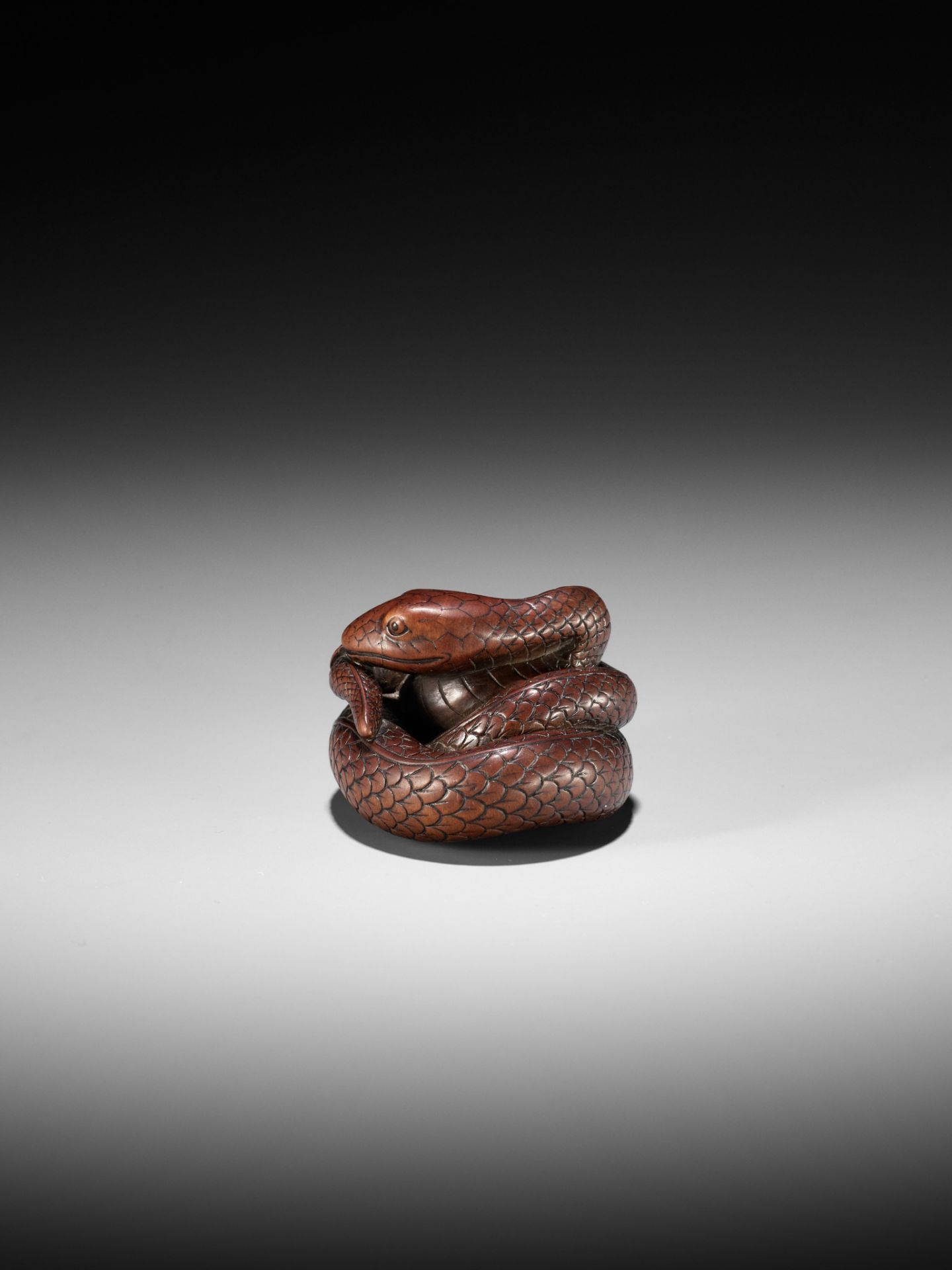 AN EXCEPTIONAL AND LARGE WOOD NETSUKE OF A SNAKE, ATTRIBUTED TO OKATOMO - Image 11 of 19