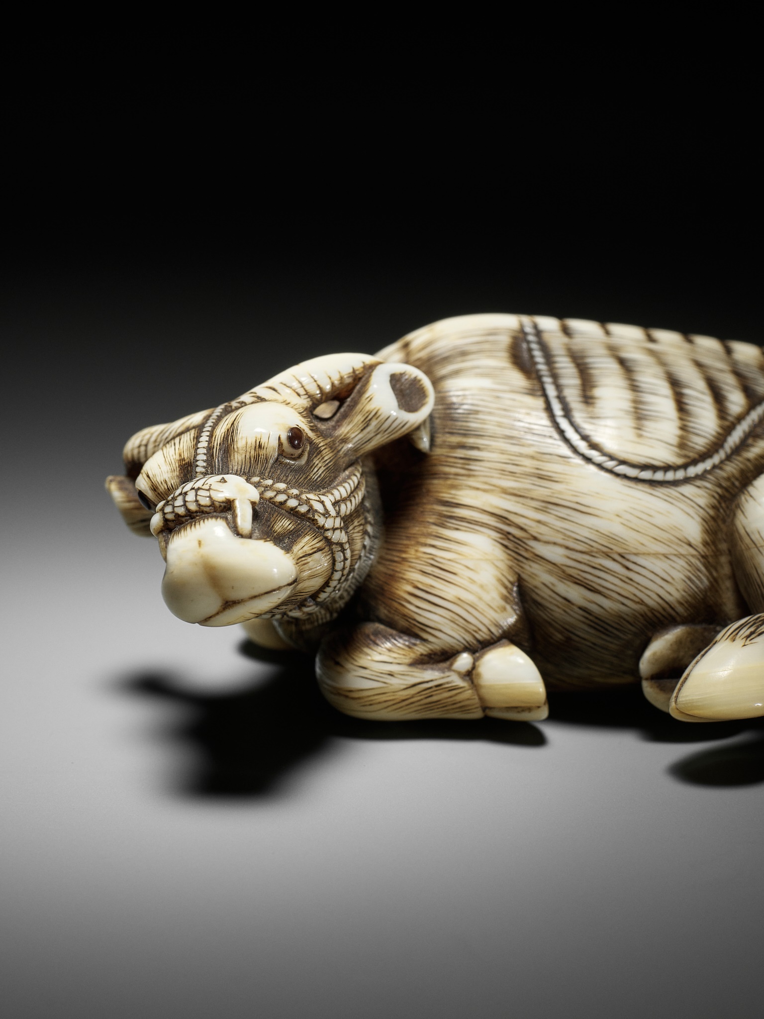 TOMOTADA: A SUPERB IVORY NETSUKE OF A RECUMBENT COW - Image 6 of 18