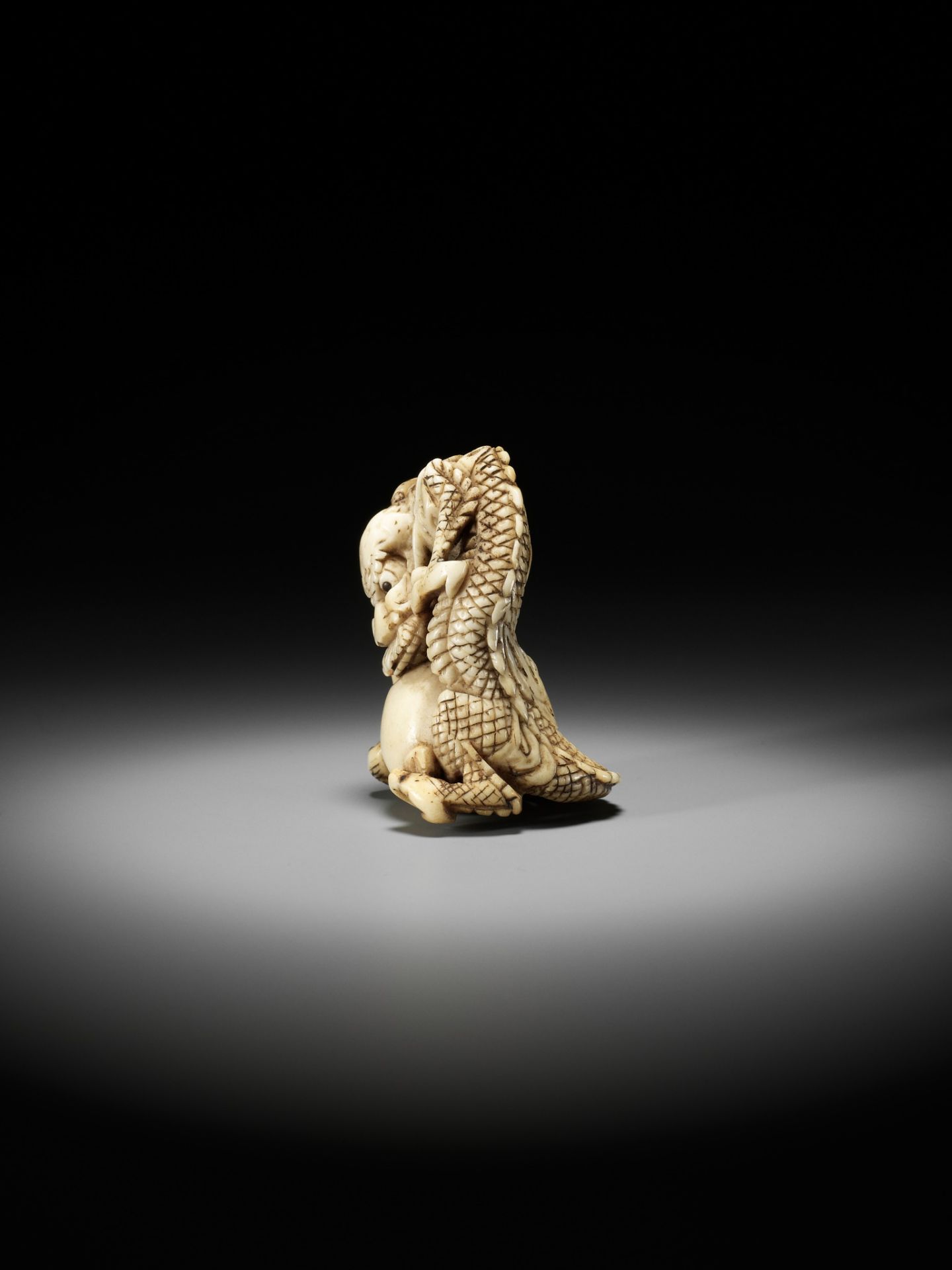 A POWERFUL STAG ANTLER NETSUKE OF A DRAGON WITH TAMA, ATTRIBUTED TO MOTOTADA - Image 5 of 11