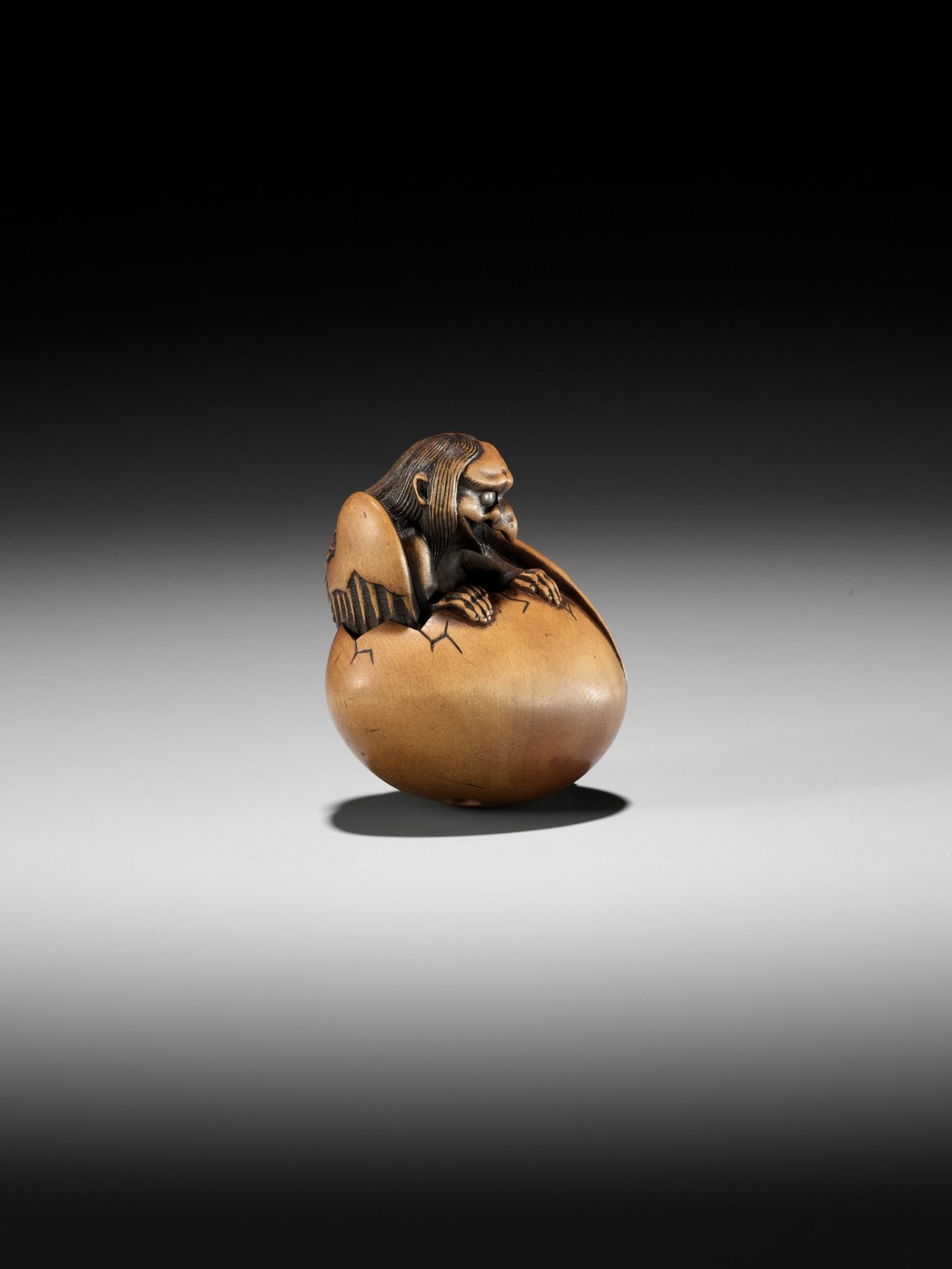 TOYOMASA: A SUPERB WOOD NETSUKE OF A HATCHING TENGU (TENGU NO TAMAGO) - Bild 18 aus 23