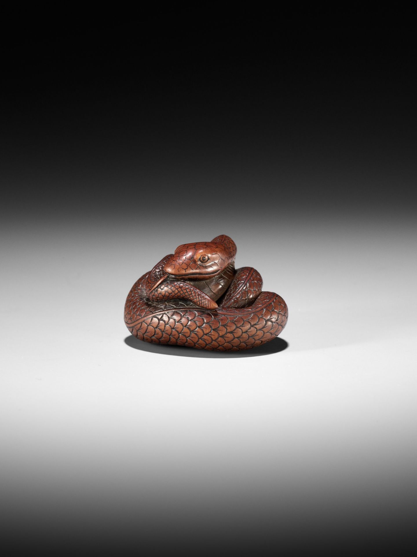 AN EXCEPTIONAL AND LARGE WOOD NETSUKE OF A SNAKE, ATTRIBUTED TO OKATOMO - Image 2 of 19