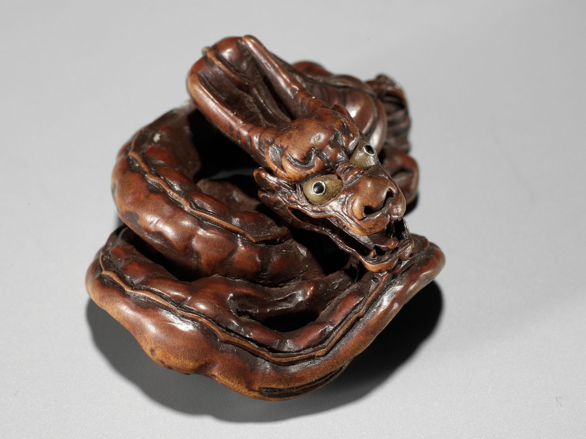 HIDARI ISSAN: A SUPERB WOOD NETSUKE OF A COILED DRAGON - Image 19 of 19