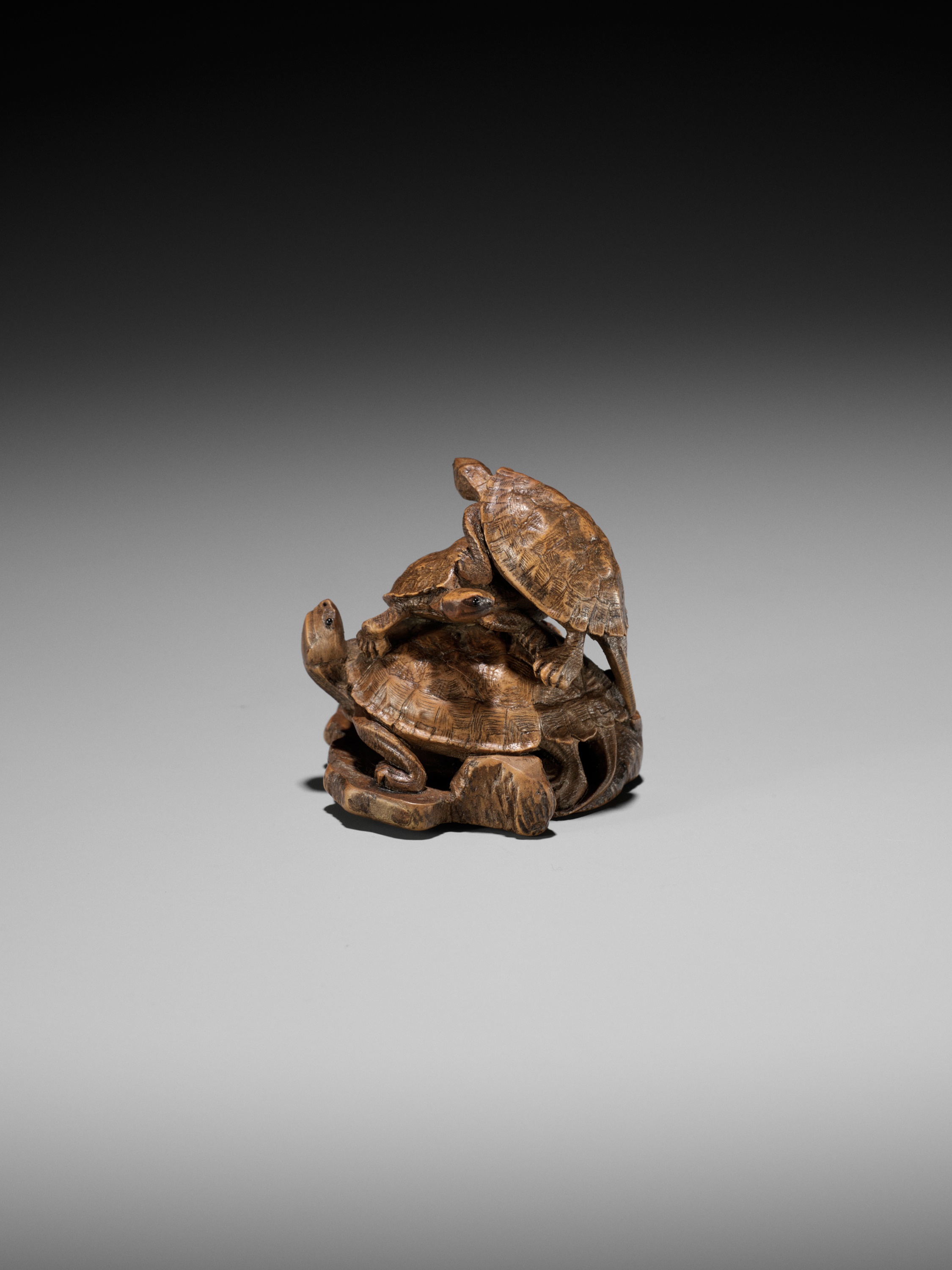 A WOOD OKIMONO NETSUKE OF A TURTLE PILE ON A ROOF TILE, ATTRIBUTED TO TADAKAZU - Image 9 of 14