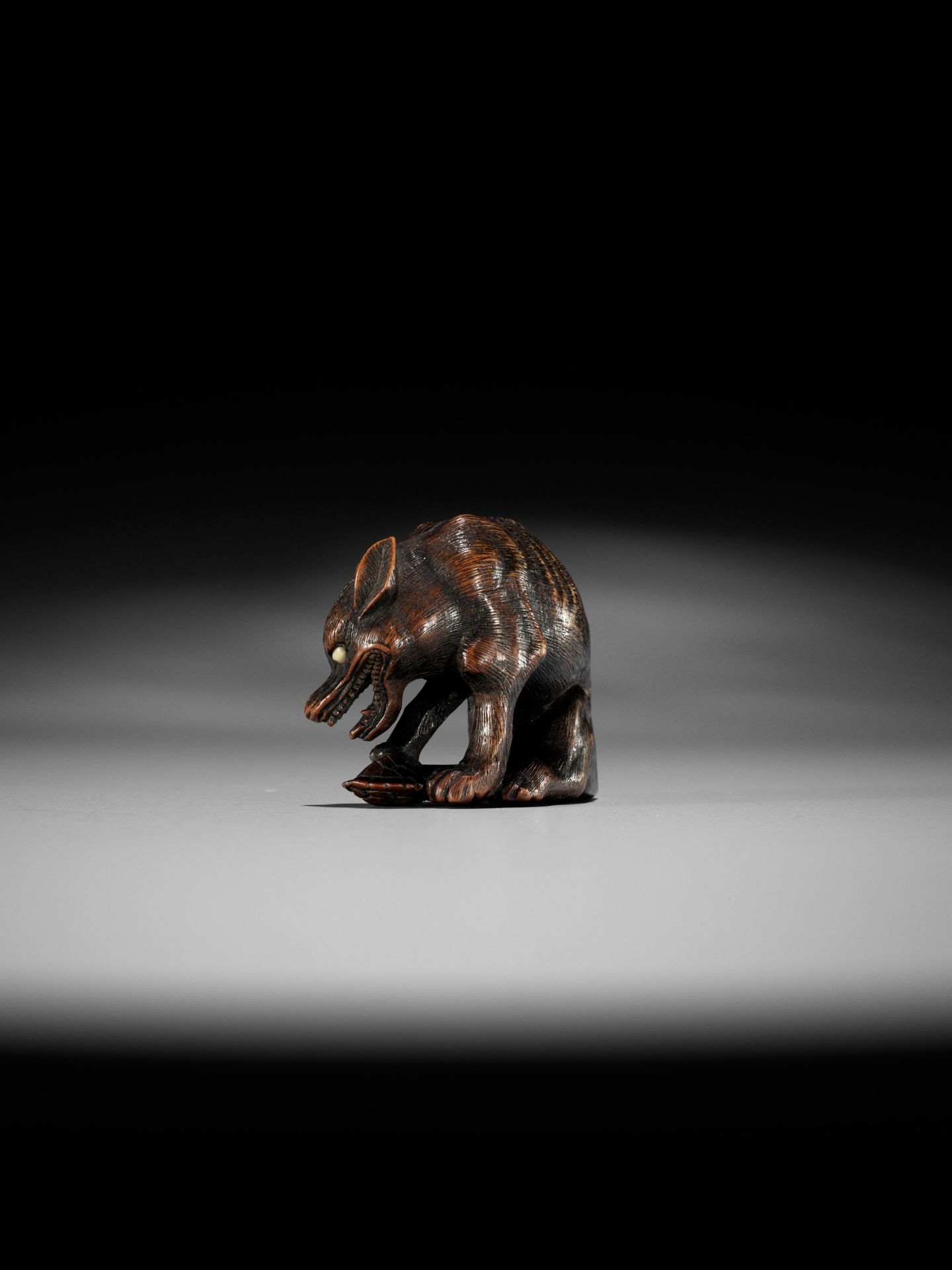 A SUPERB TOYOMASA SCHOOL WOOD NETSUKE OF AN EMACIATED WOLF WITH TORTOISE - Image 12 of 15